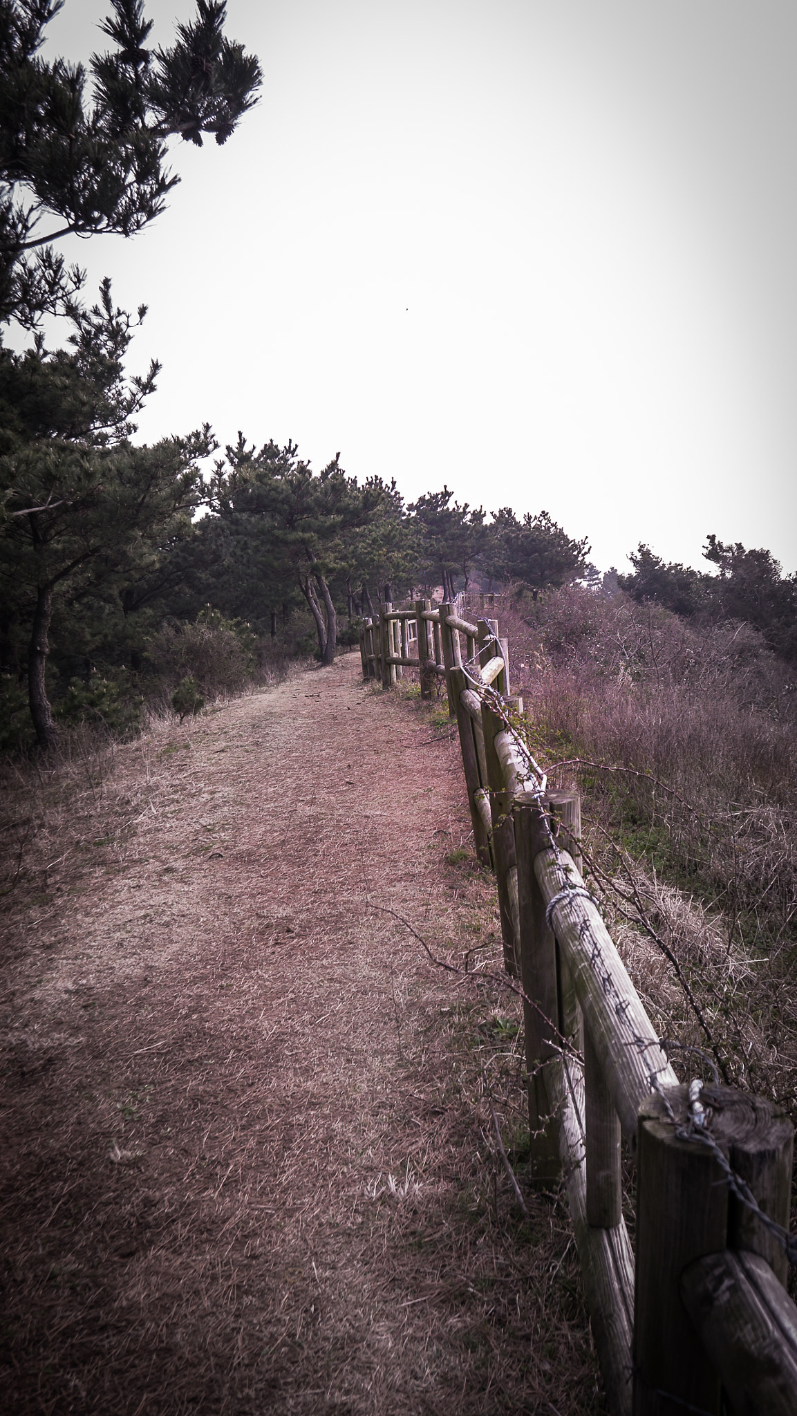 LUMIX G VARIO PZ 14-42/F3.5-5.6 sample photo. Jeju island travel 2016 photography