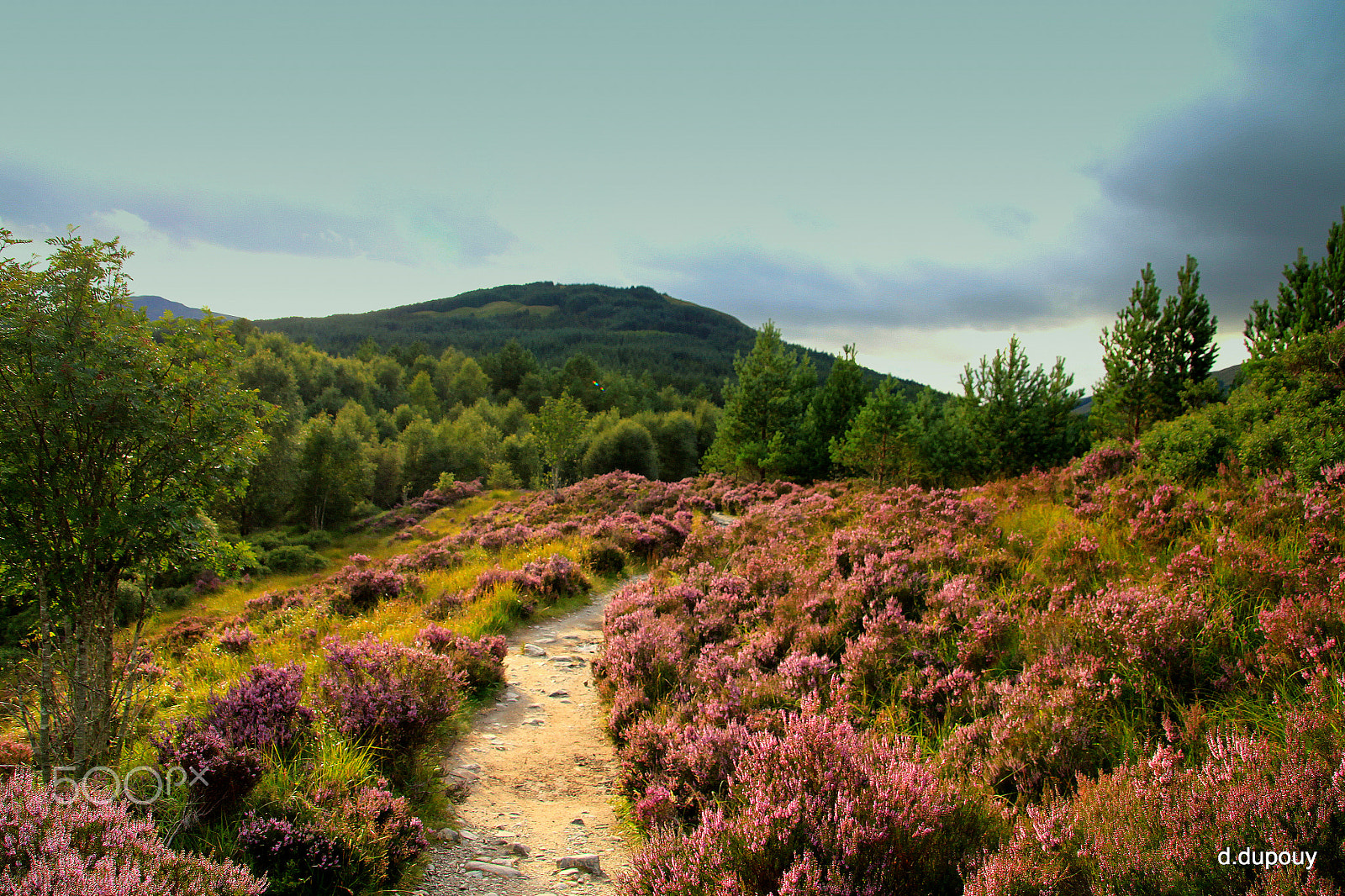 Canon TS-E 90mm F2.8 Tilt-Shift sample photo. West highland way photography