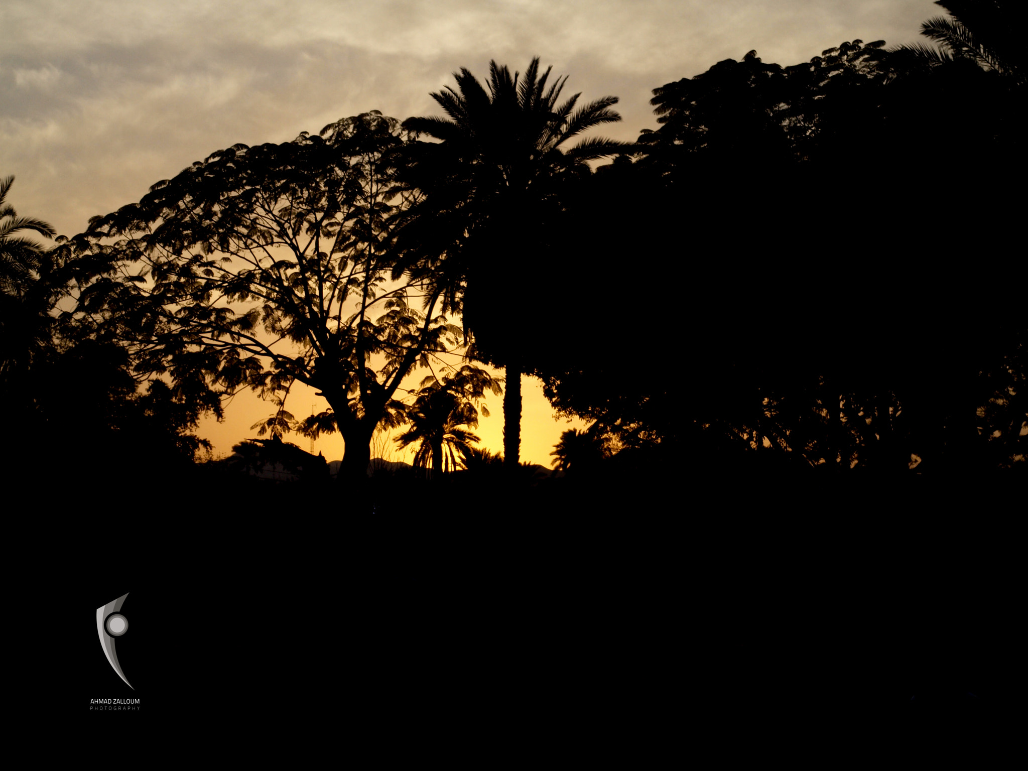 OLYMPUS 14-42mm Lens sample photo. Silhouette photography