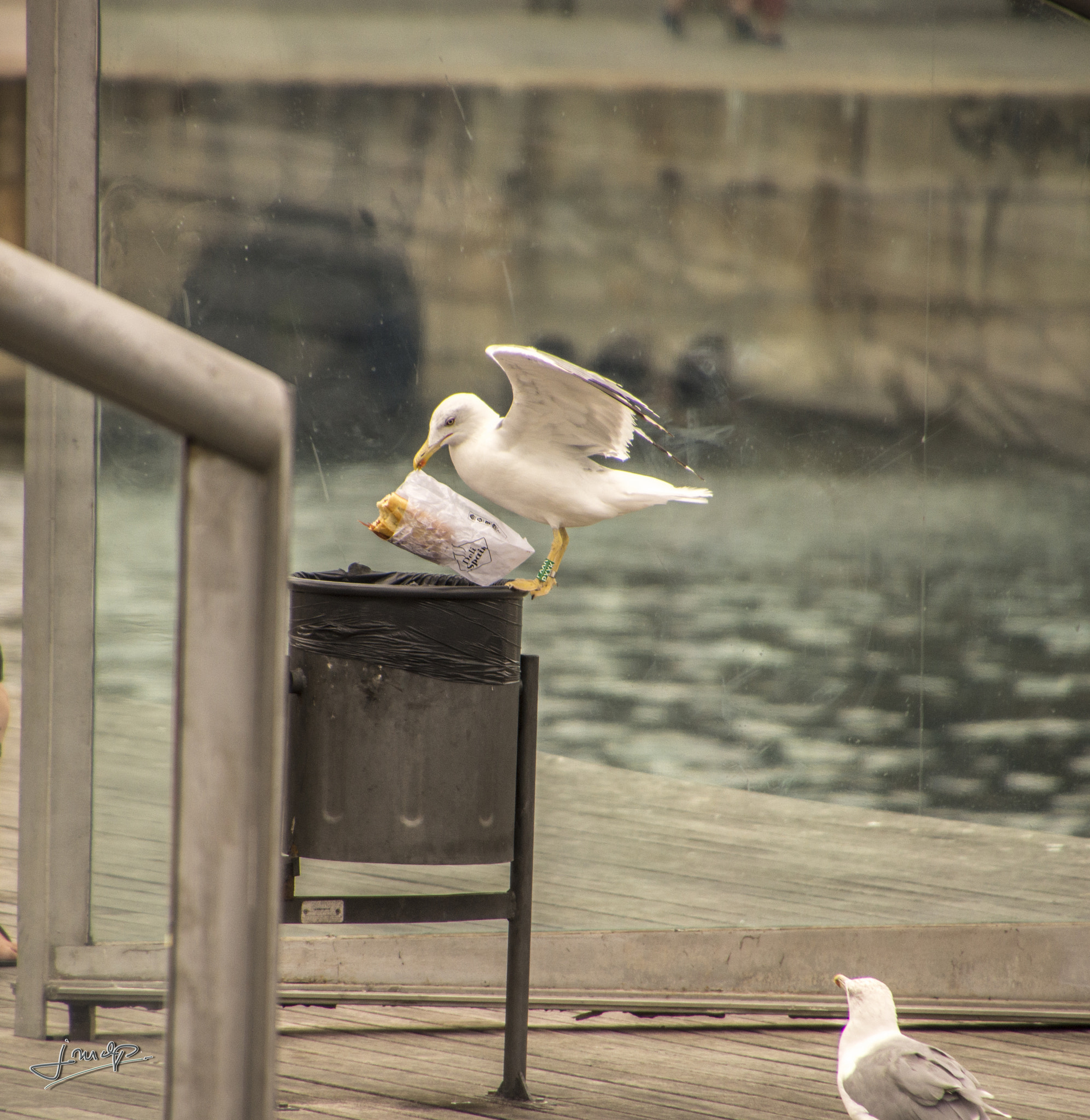 Tamron 16-300mm F3.5-6.3 Di II VC PZD Macro sample photo. Another view photography