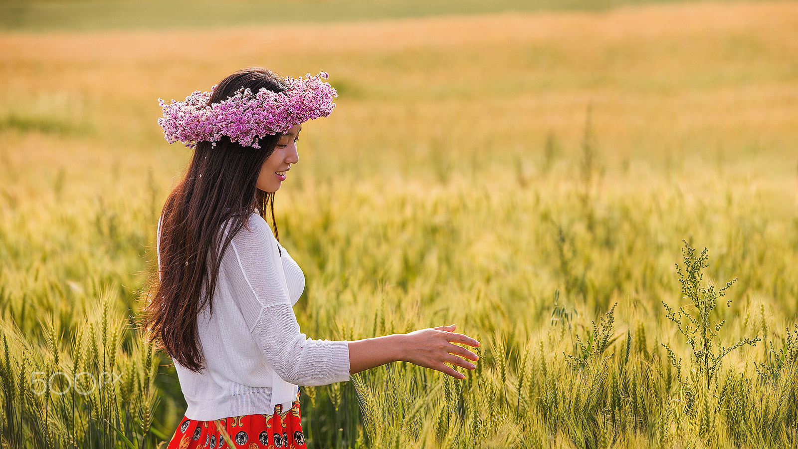 Canon EF 70-200mm F2.8L USM sample photo. Wheat field photography