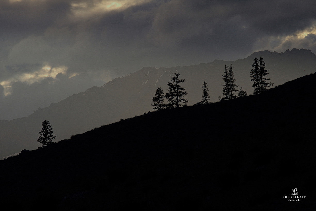 Canon EF 70-200mm F2.8L IS II USM sample photo