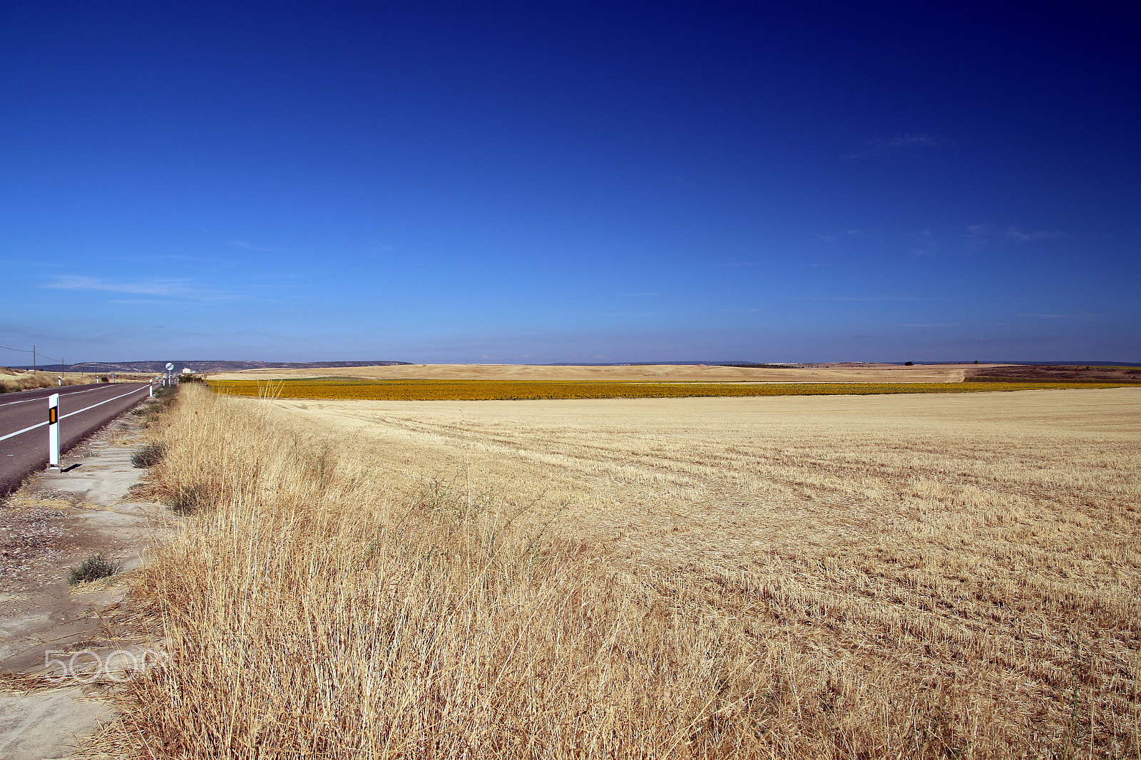 Canon TS-E 90mm F2.8 Tilt-Shift sample photo. Fields photography