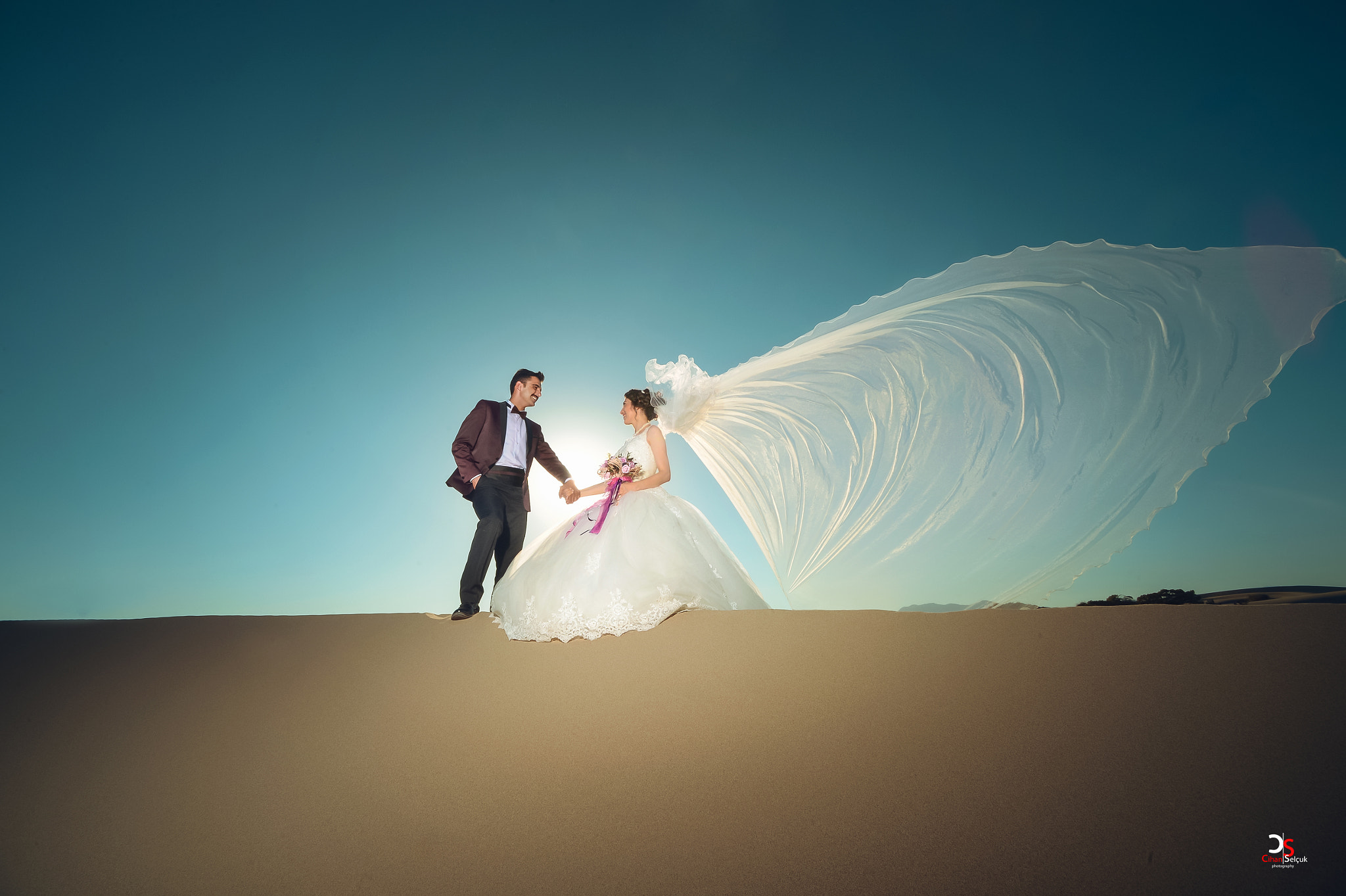 Nikon D4 + Nikon AF Nikkor 14mm F2.8D ED sample photo. The wings of love... photography