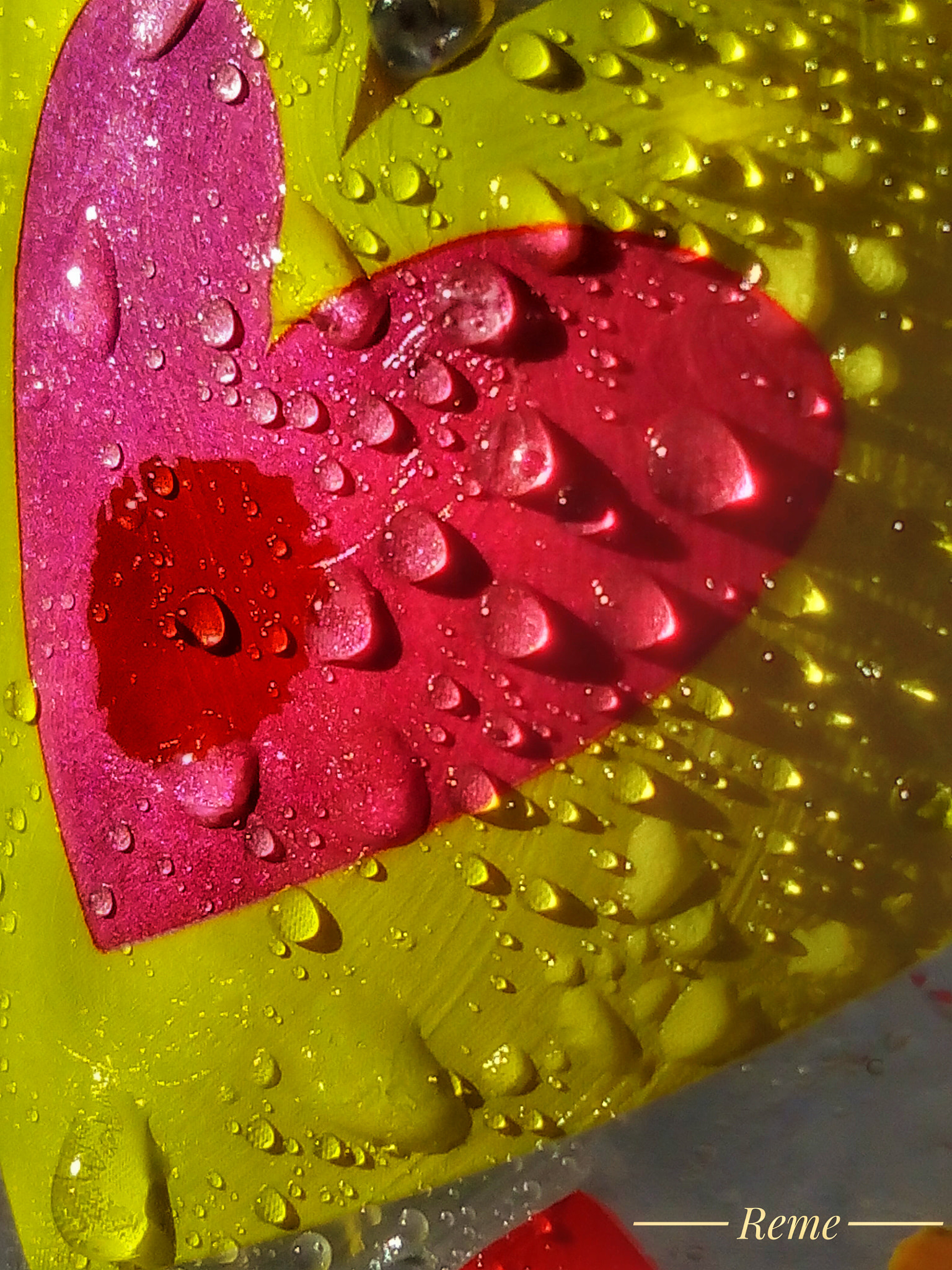 bq Aquaris E5 HD sample photo. Textura photography