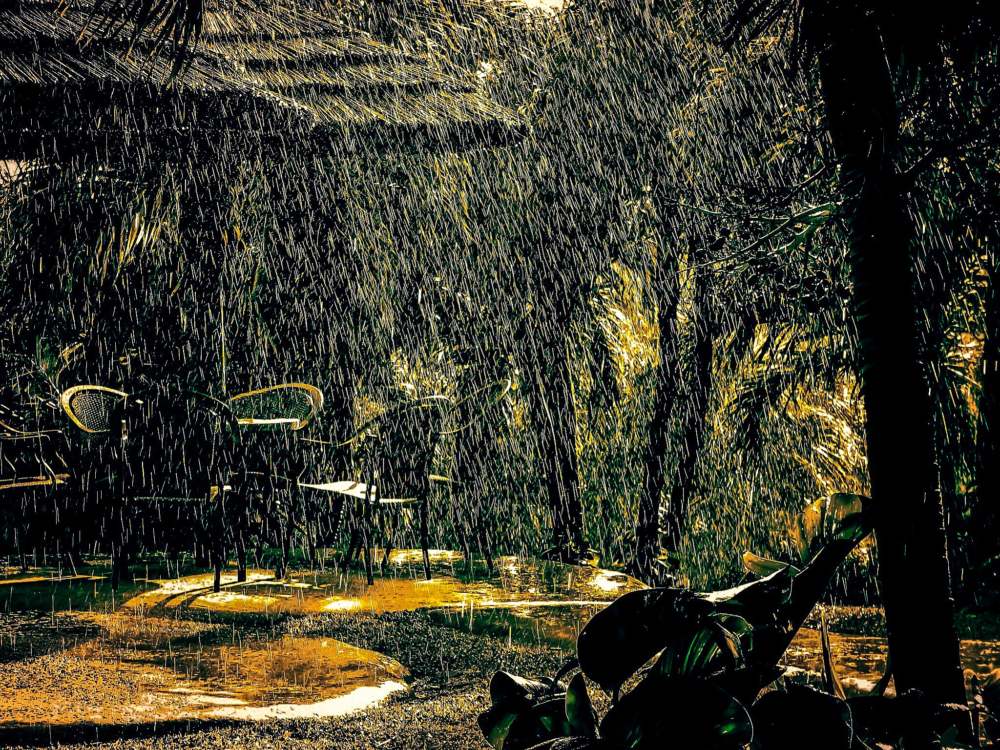 Sony Cyber-shot DSC-TX30 sample photo. Tropical rain storm st lucia photography