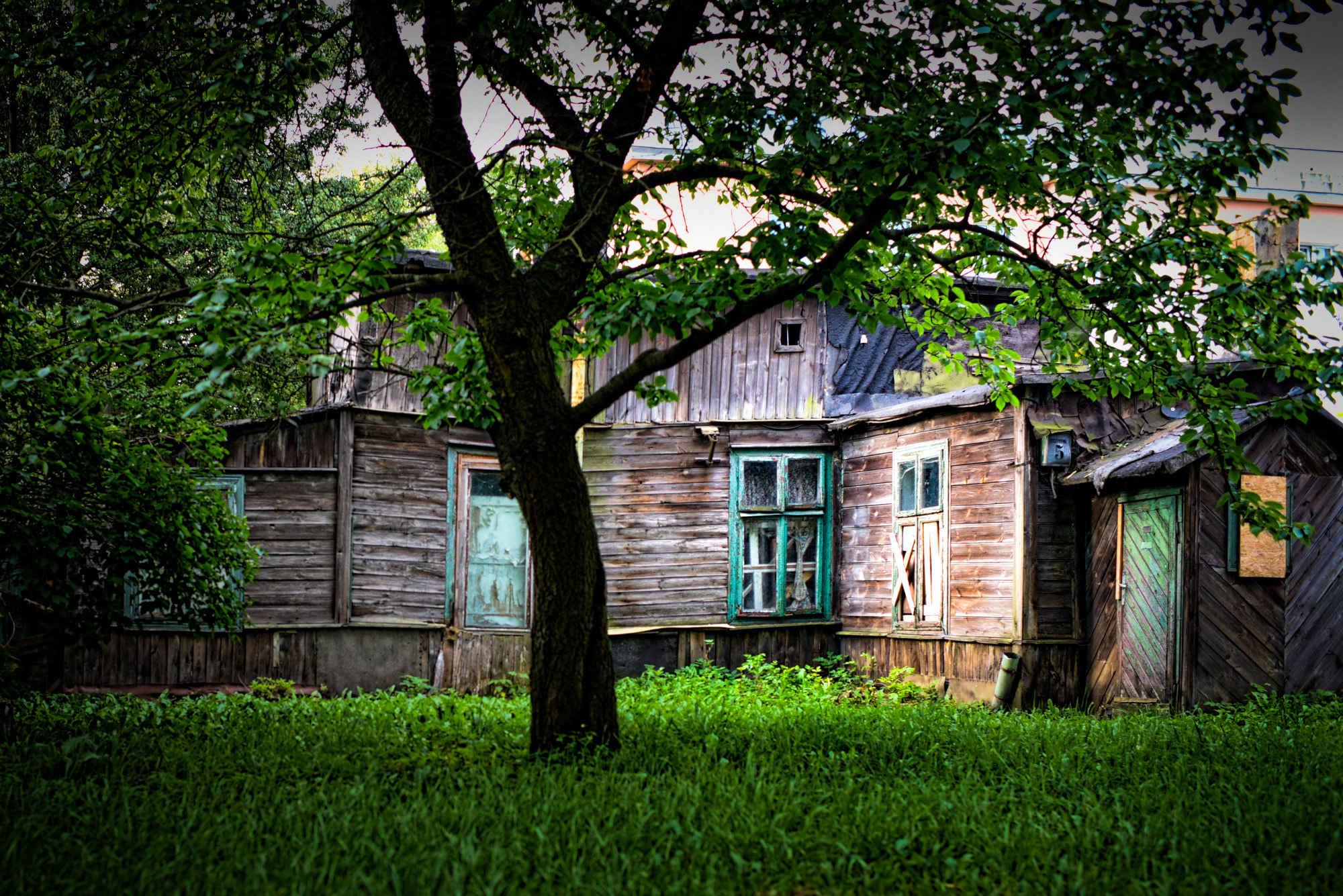 Nikon D750 + Nikon AF-S Nikkor 35mm F1.4G sample photo. Home sweet home photography