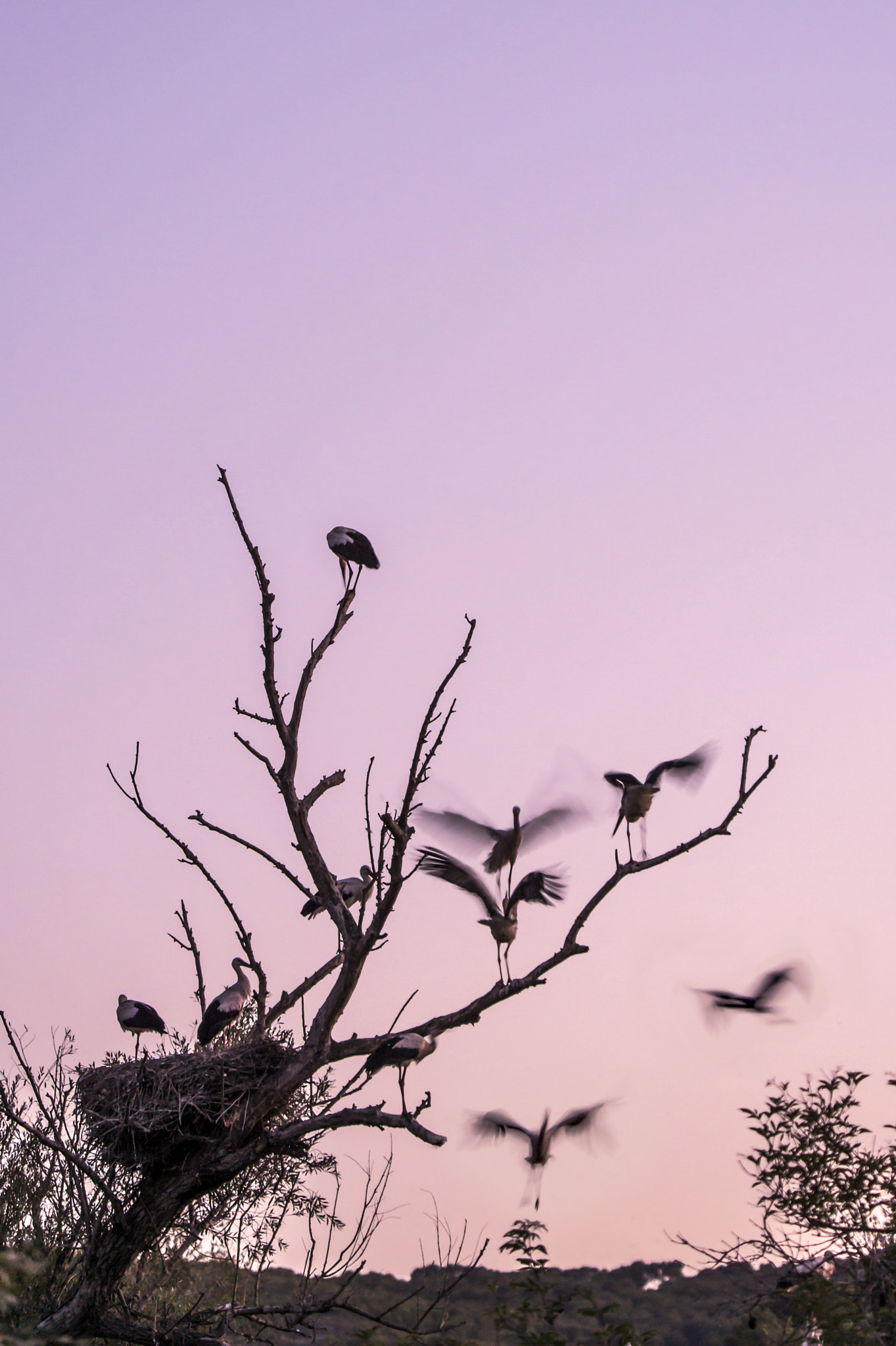 Nikon D4 sample photo. Fight for your photography
