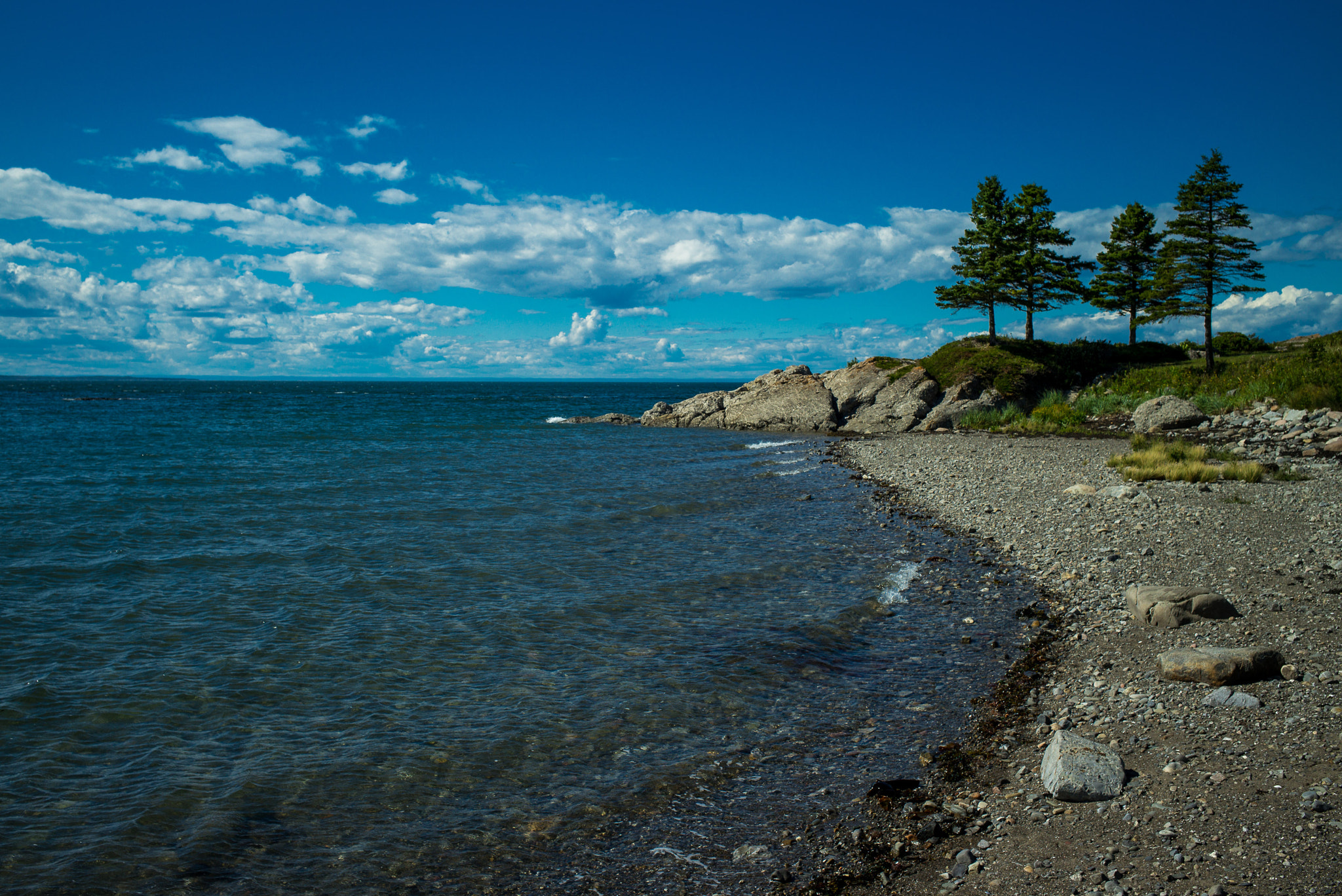 Leica Elmarit-M 28mm F2.8 ASPH sample photo. Four musketeers photography