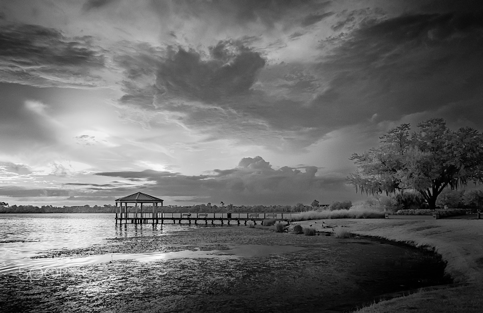 Nikon D300S sample photo. Sunrise over lake baldwin photography