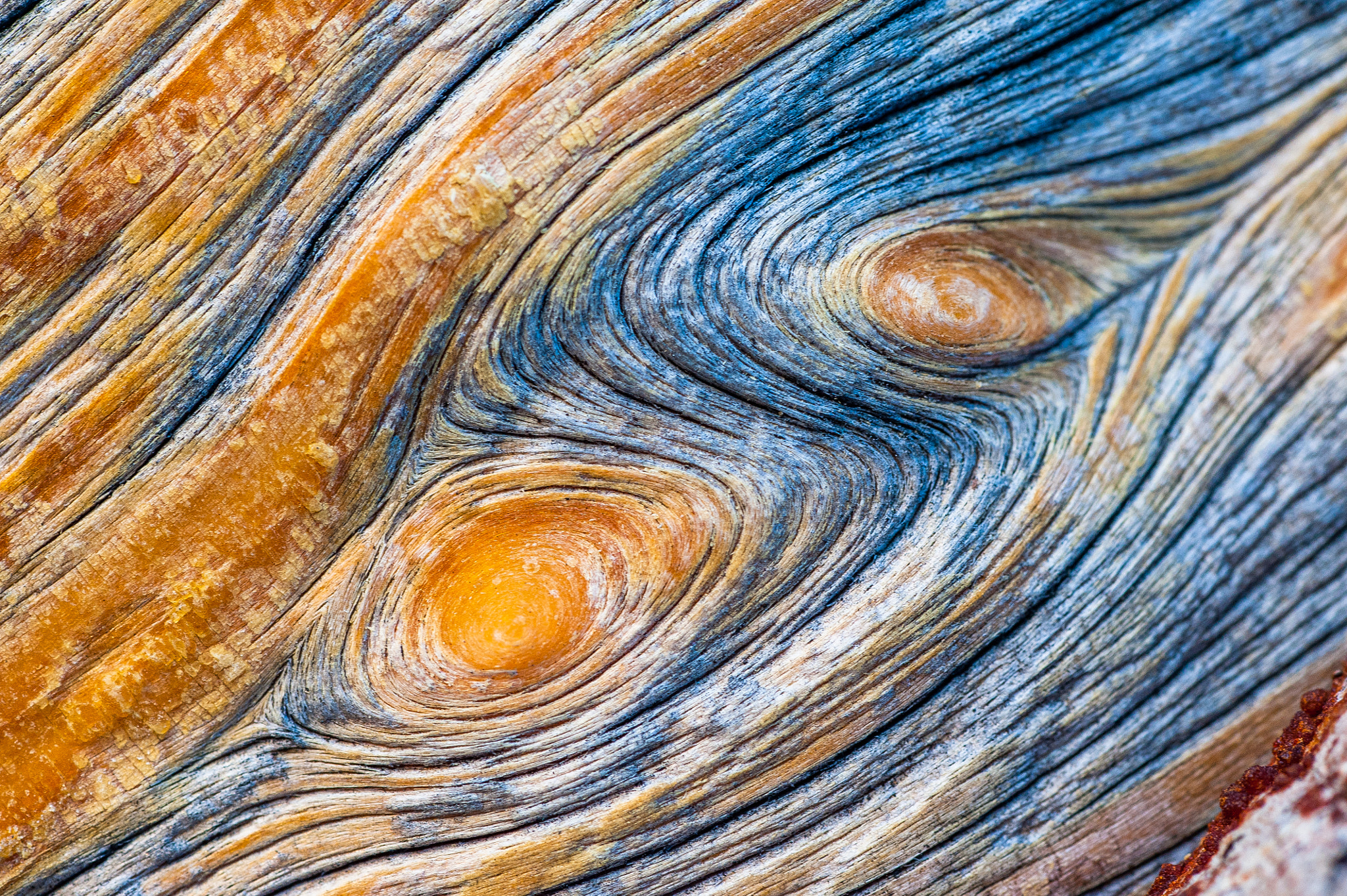 Nikon D3 sample photo. Swirls photography