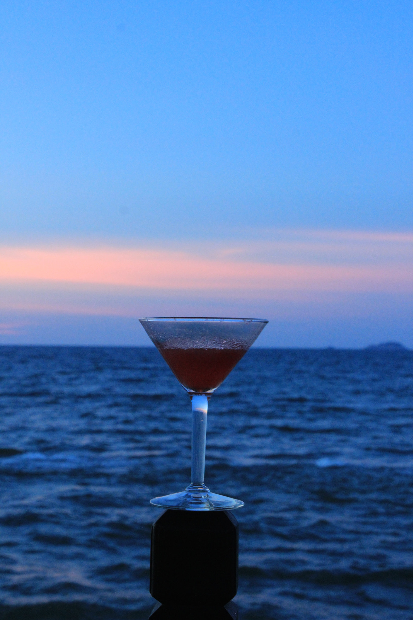 Canon EOS 600D (Rebel EOS T3i / EOS Kiss X5) sample photo. Sea cocktail photography