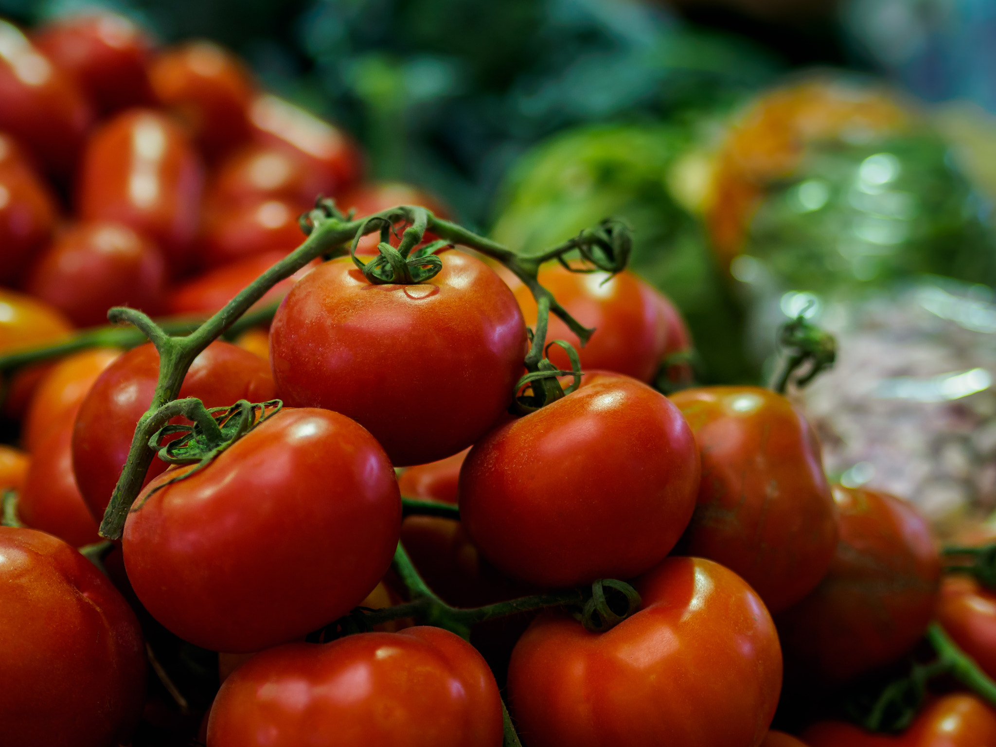 Olympus PEN E-P5 + Olympus M.Zuiko Digital 45mm F1.8 sample photo. Red tomatoes photography