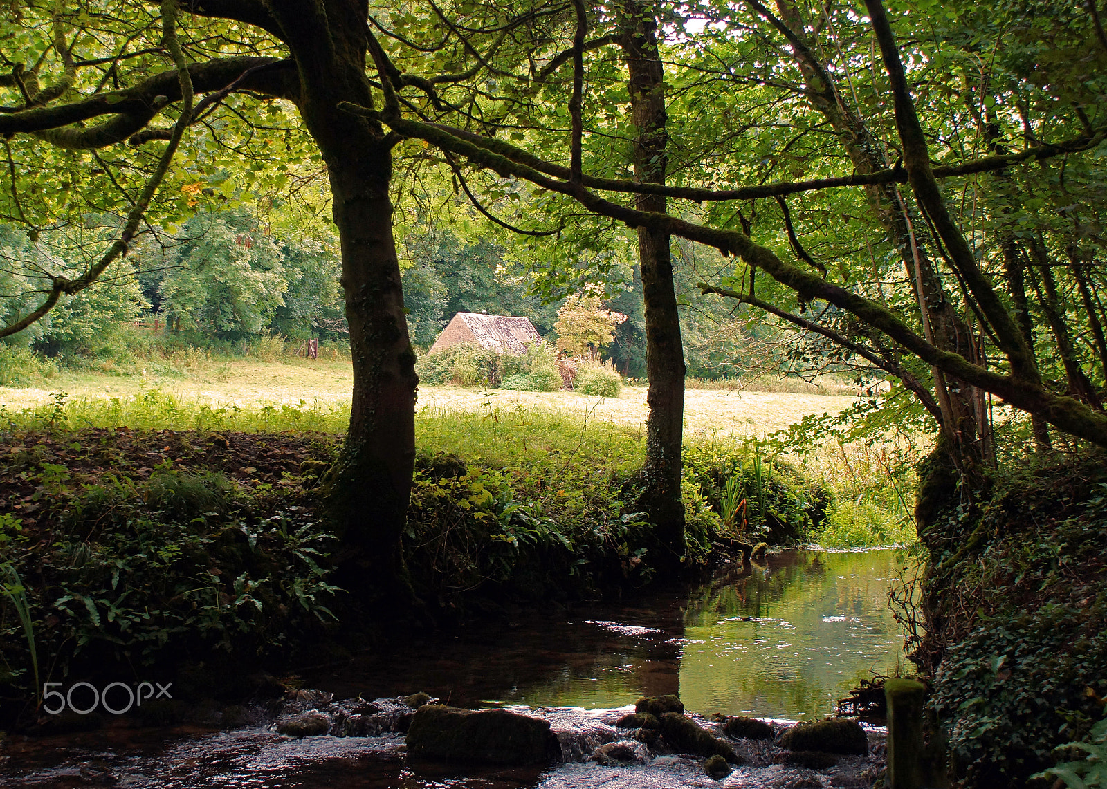 Sony DT 18-70mm F3.5-5.6 sample photo. The cabin by the stream photography