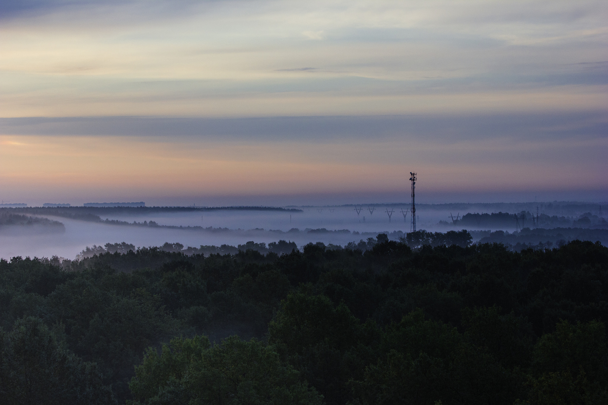 Canon EF 28-135mm F3.5-5.6 IS USM sample photo. Morning fog photography