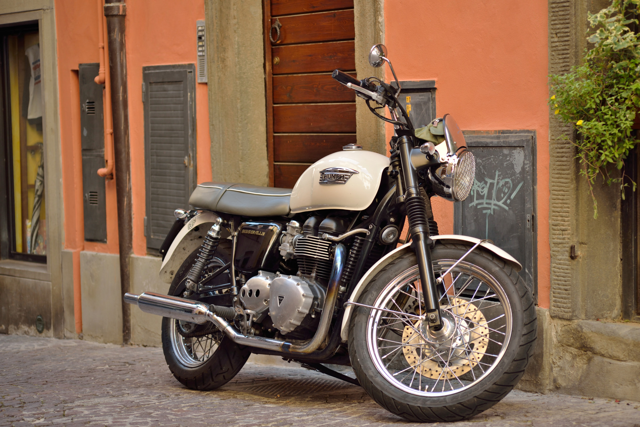 Nikon D610 + AF Nikkor 70-210mm f/4-5.6 sample photo. Triumph in italy photography