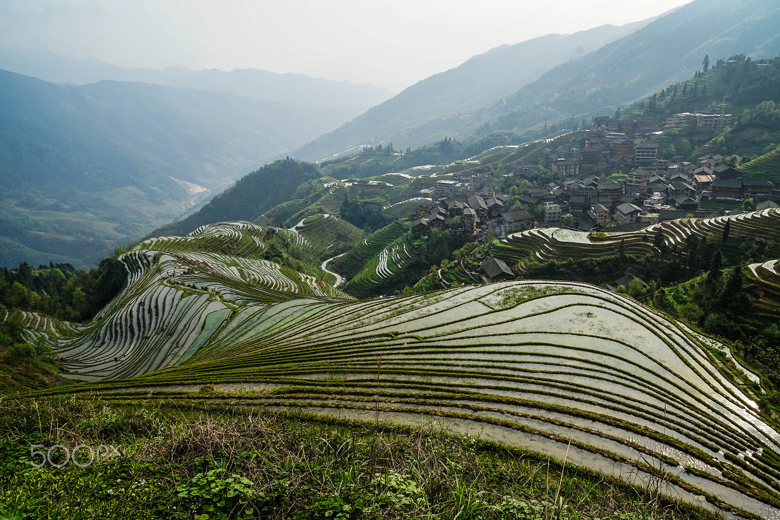 Sony a7 II + Sony Vario-Tessar T* E 16-70mm F4 ZA OSS sample photo. Rice terraces photography