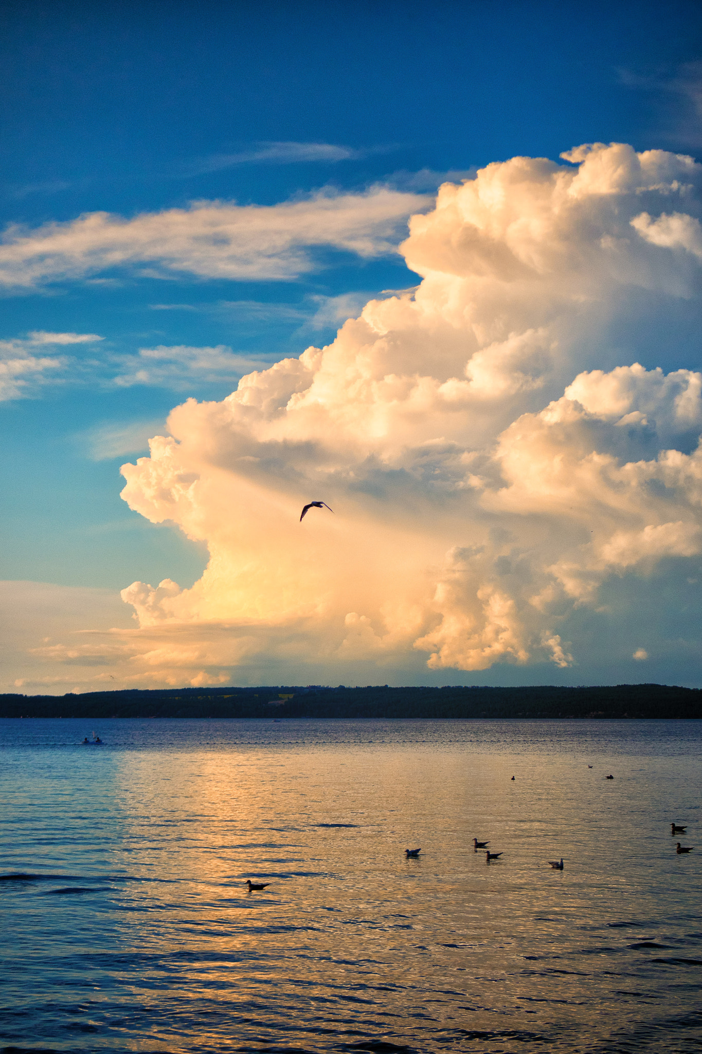 Panasonic Lumix G X Vario 35-100mm F2.8 OIS sample photo. Sylvan sunset photography