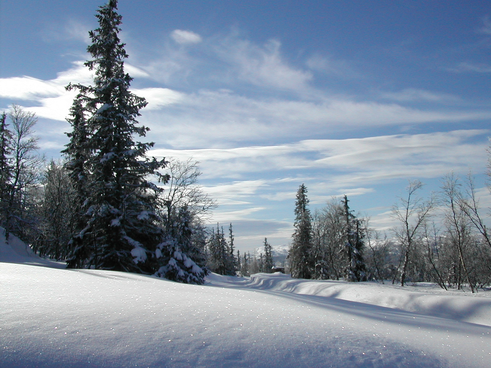 Nikon E775 sample photo. Winter in norway photography
