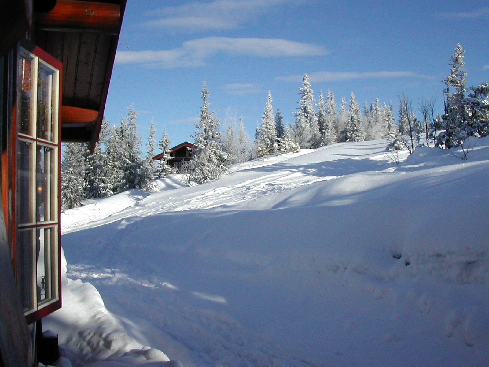 Nikon E775 sample photo. Winter in norway photography