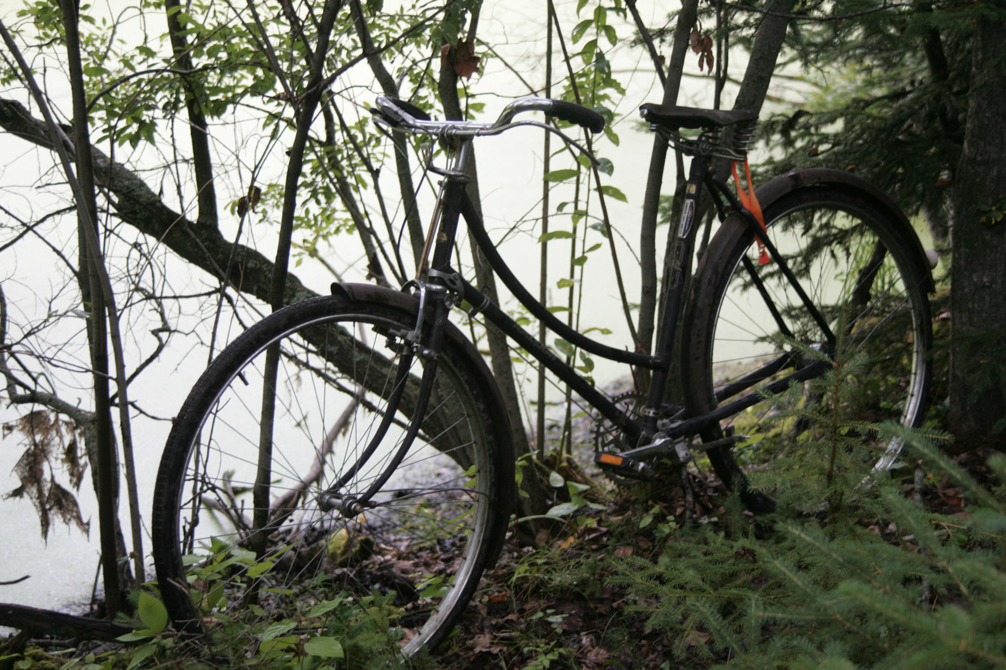 Canon EF 35-135mm f/4-5.6 USM sample photo. Bike photography