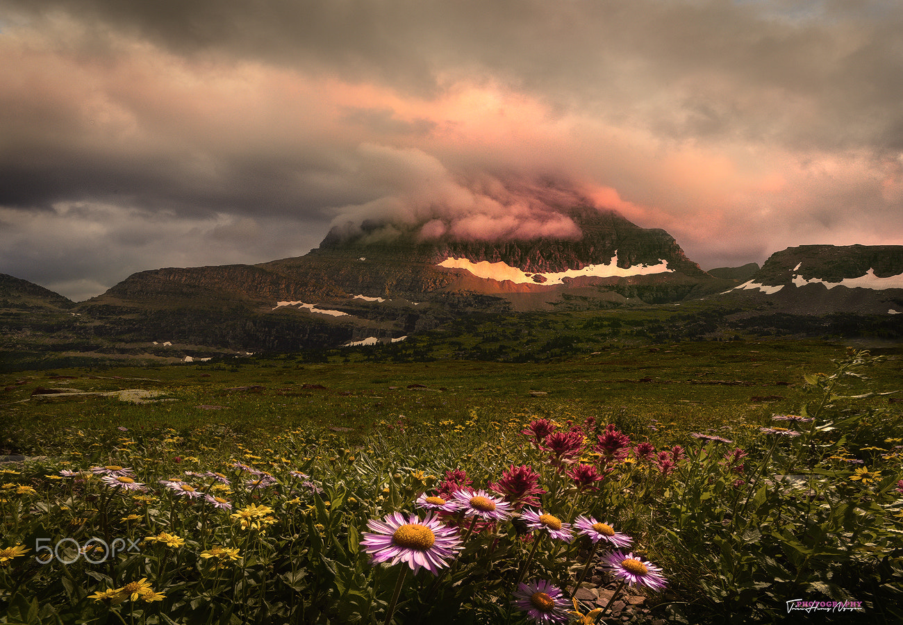 Nikon AF-S Nikkor 17-35mm F2.8D ED-IF sample photo. Sunset @ logan pass, glacier national park, mt photography