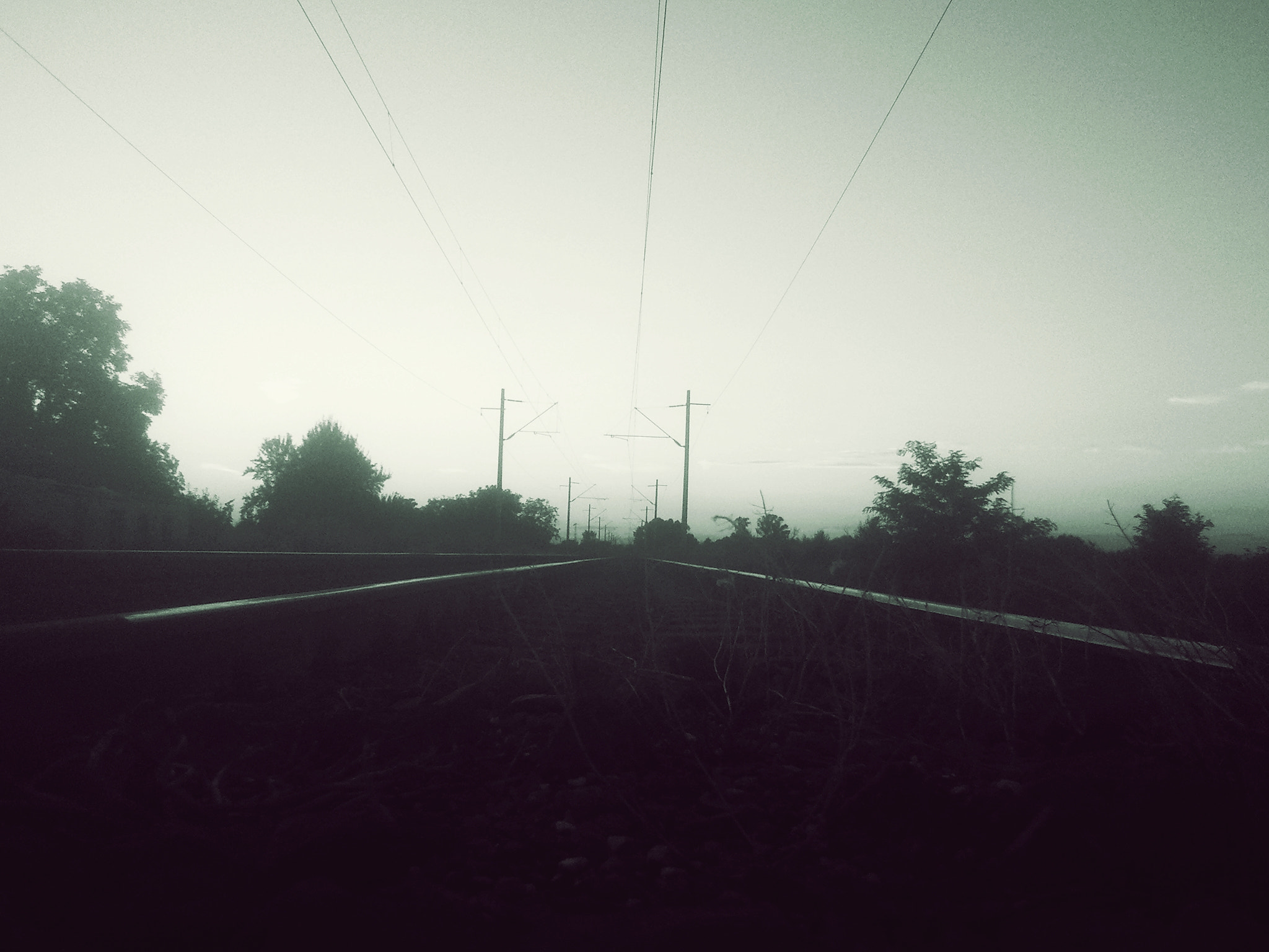 Samsung Galaxy S sample photo. Close and far photography