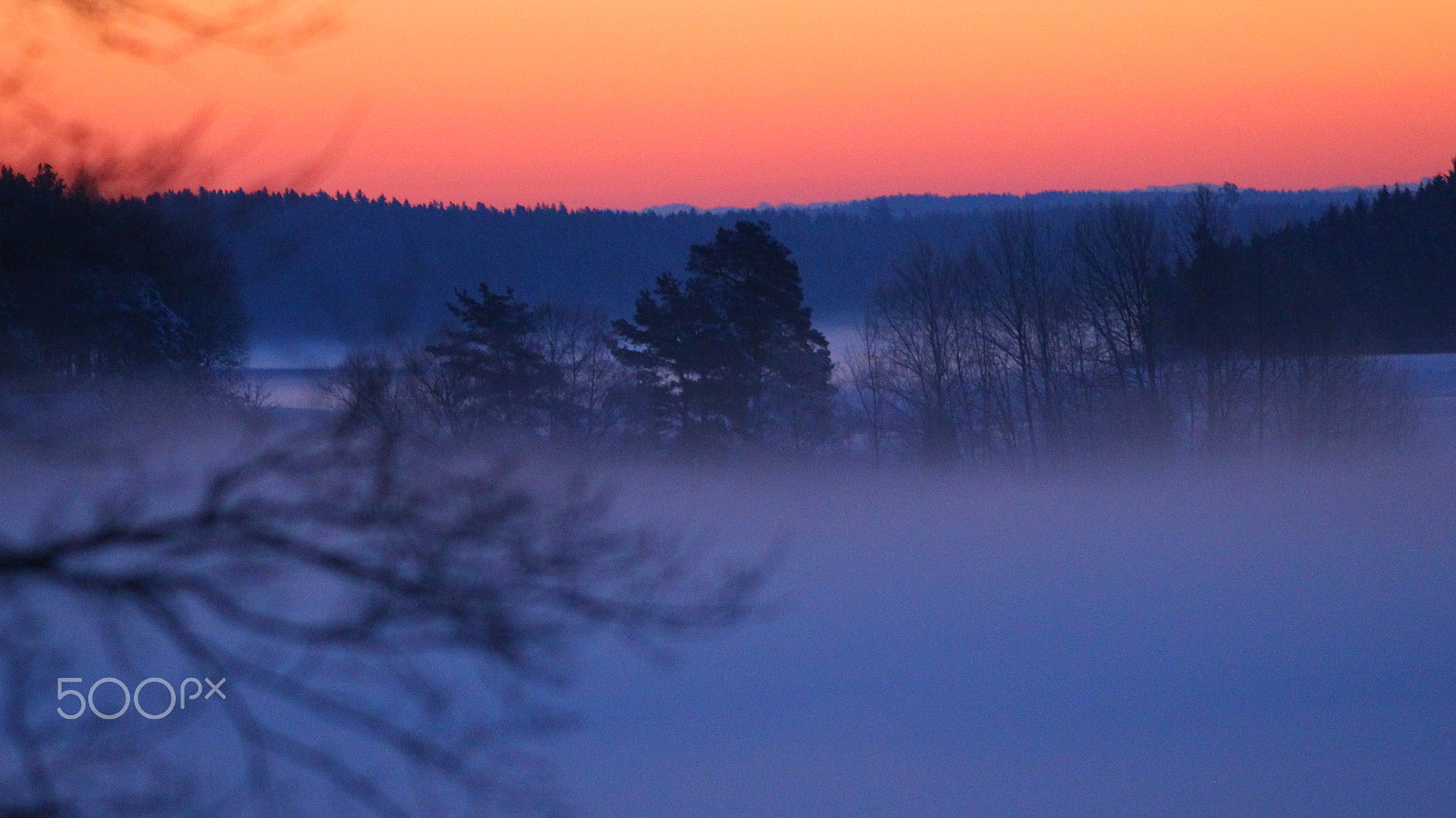 Canon EF200mm f/2.8L USM sample photo. Fog in a very cold day photography