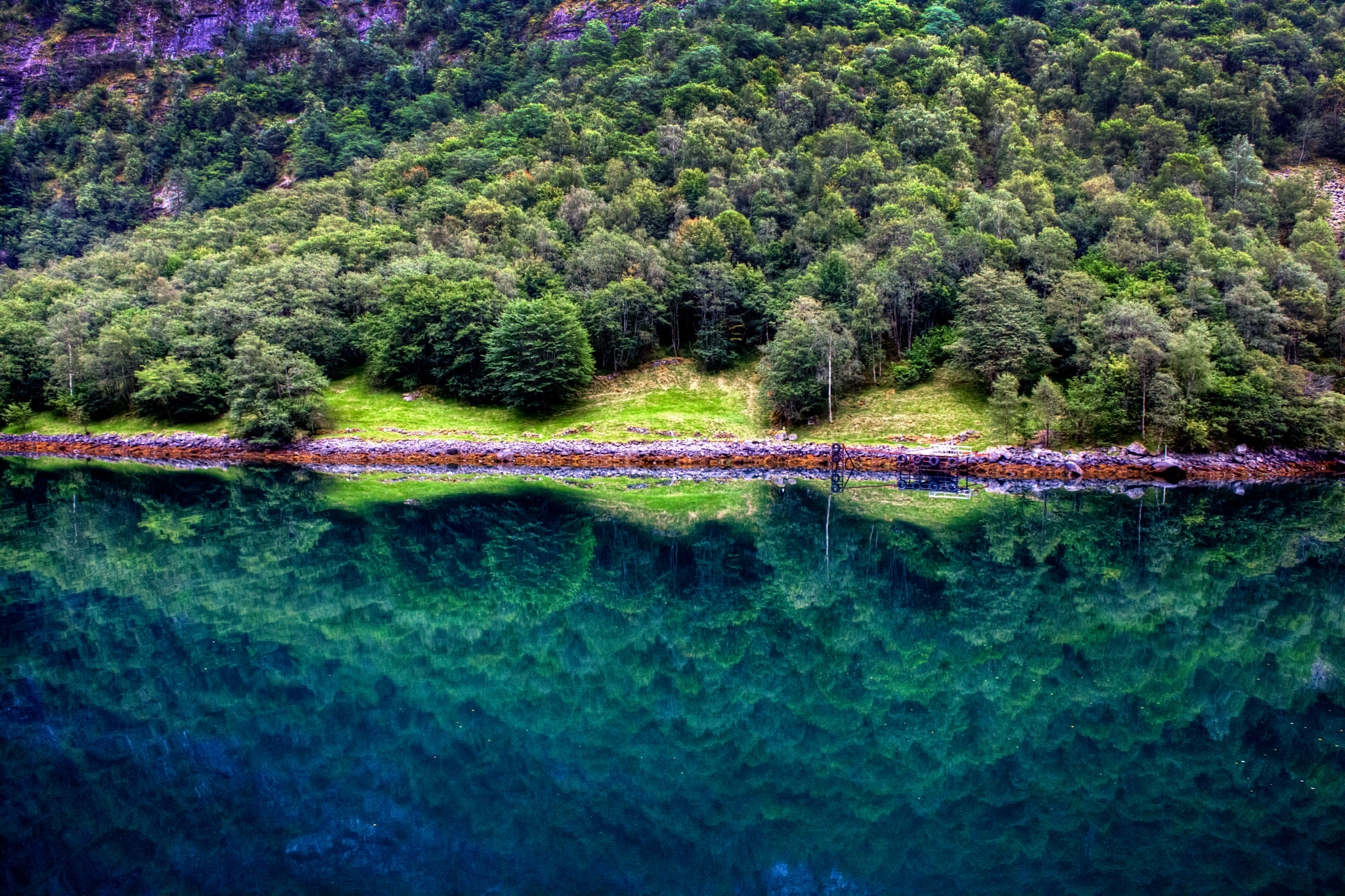 Canon EOS 5D Mark II + Canon EF 28mm F2.8 sample photo. Fjord forest - hdr - norway photography