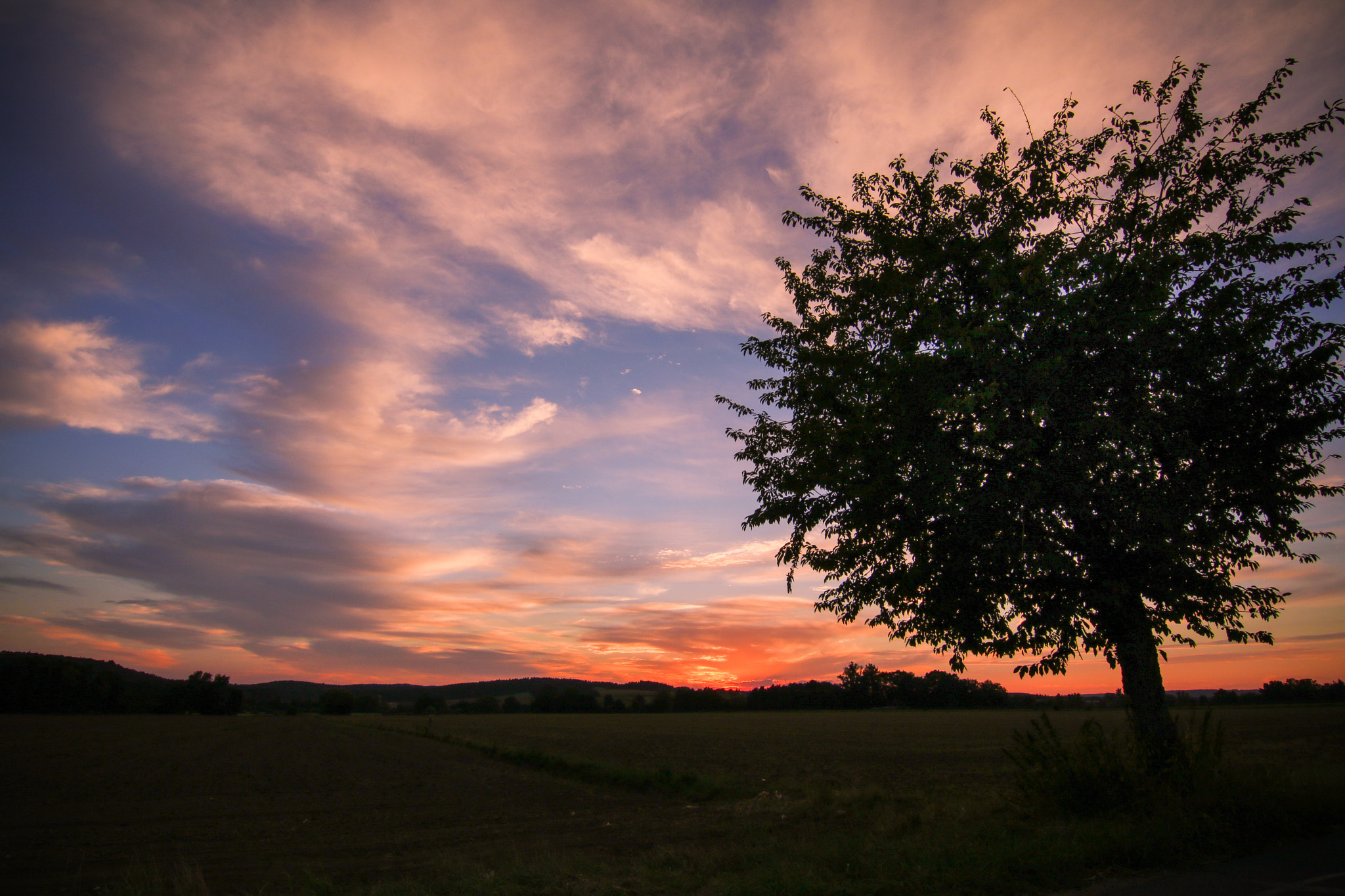 Canon EOS 750D (EOS Rebel T6i / EOS Kiss X8i) sample photo. --sunset-- photography