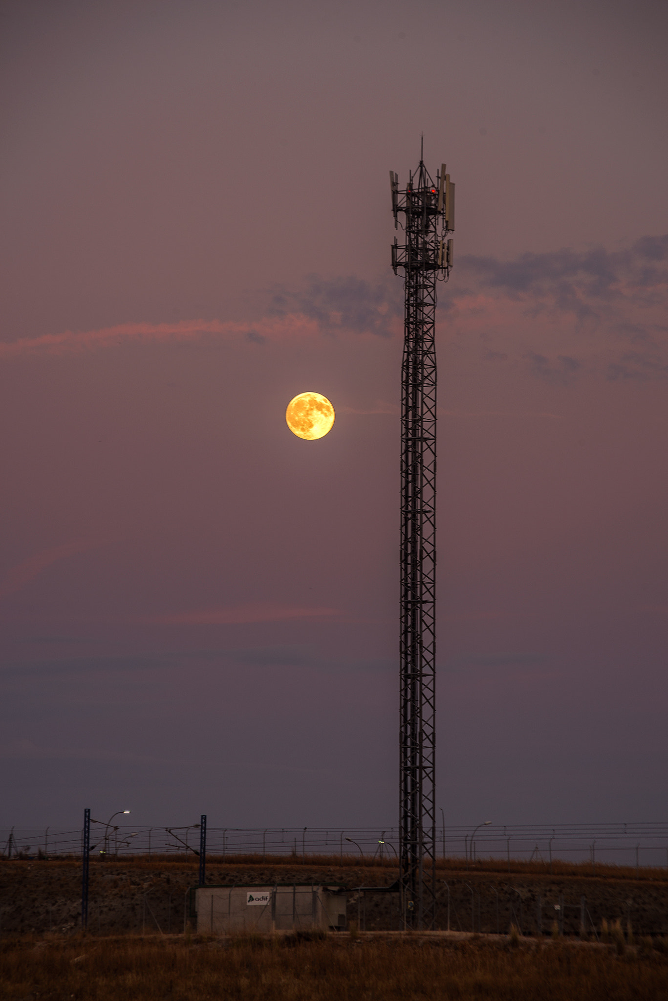 Nikon D610 + Sigma 28-200mm F3.5-5.6 Compact Aspherical Hyperzoom Macro sample photo. The other day walking near the train tracks i foun ... photography