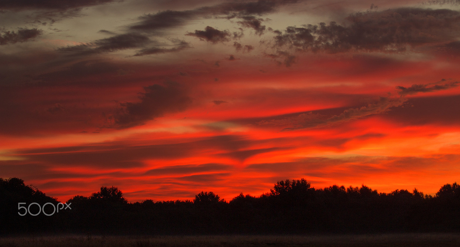 Canon EOS 100D (EOS Rebel SL1 / EOS Kiss X7) sample photo. Red dawn photography