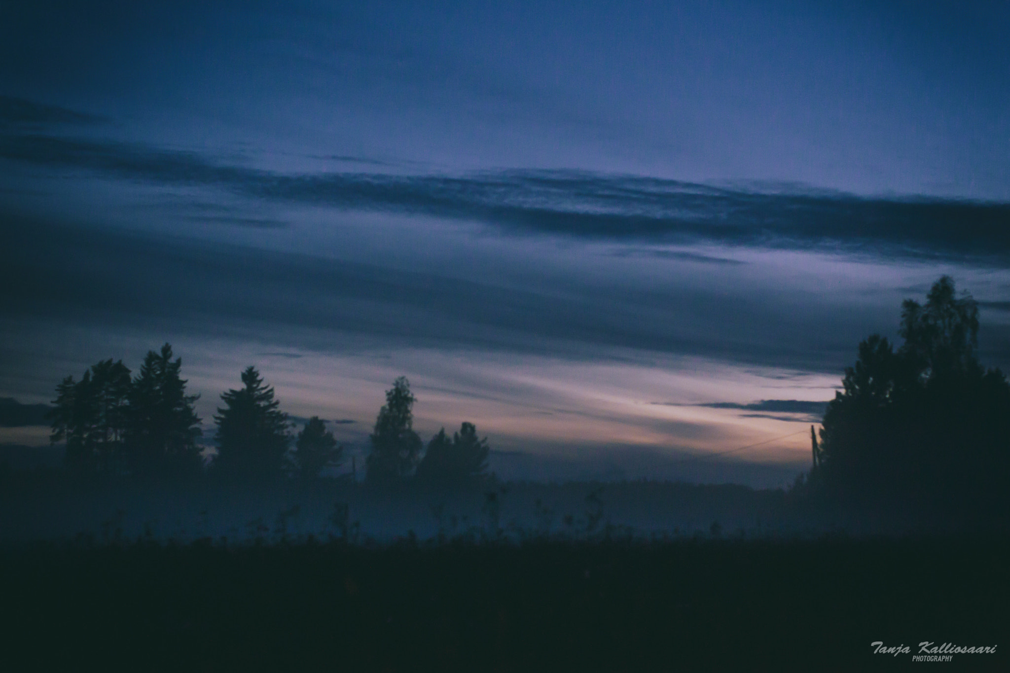 Canon EOS-1D Mark IV sample photo. Fog photography