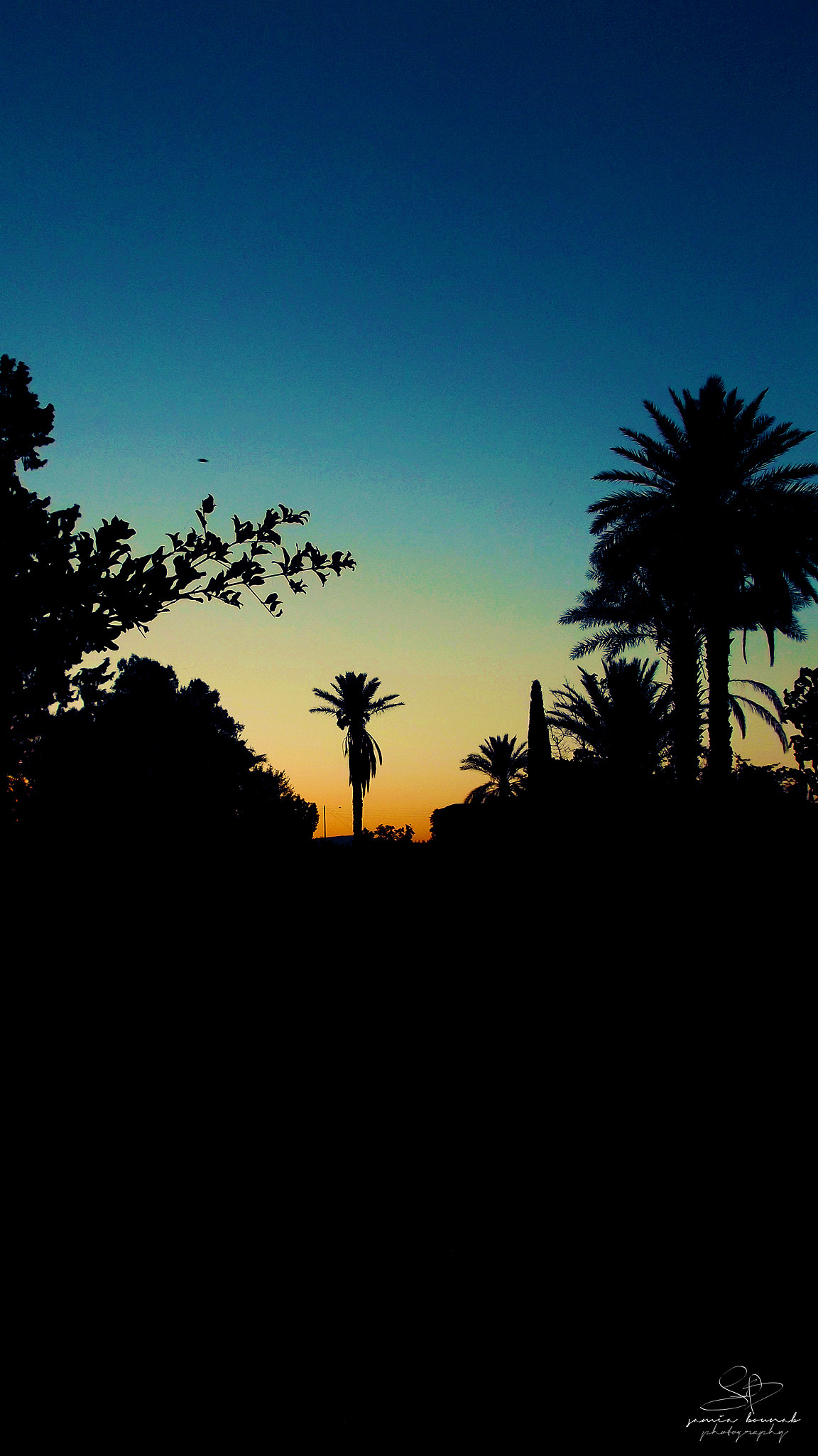 Fujifilm FinePix JX700 sample photo. Sun set photography