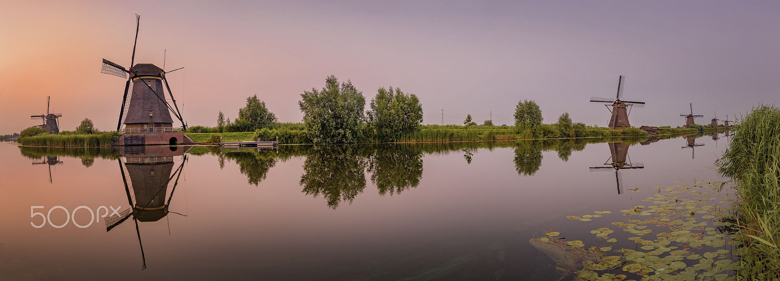 Canon EOS-1D X + Canon EF 16-35mm F4L IS USM sample photo. Kinderdijk photography