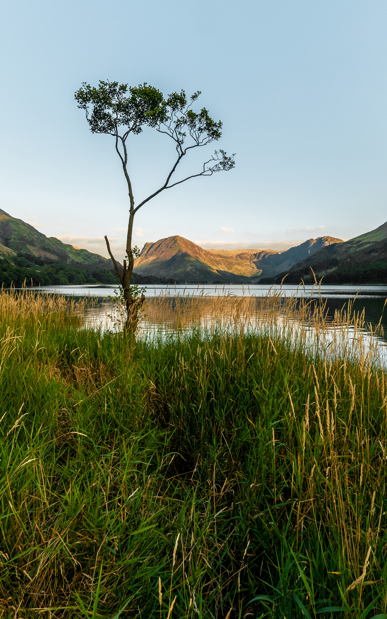 Nikon D300 + Sigma 10-20mm F3.5 EX DC HSM sample photo. The lone tree photography