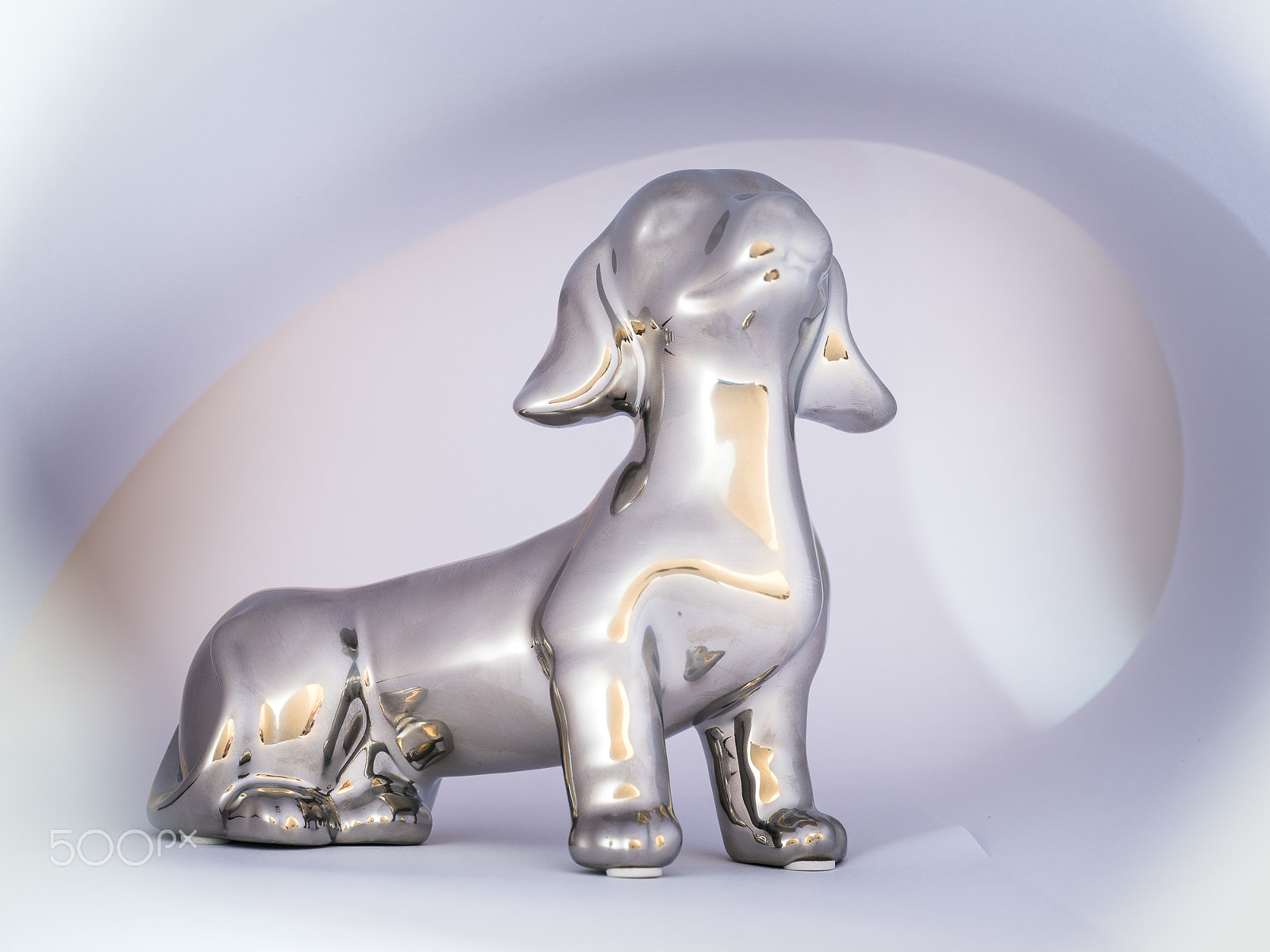 Nikon D810 + Nikon AF Micro-Nikkor 60mm F2.8D sample photo. Doggy in style photography