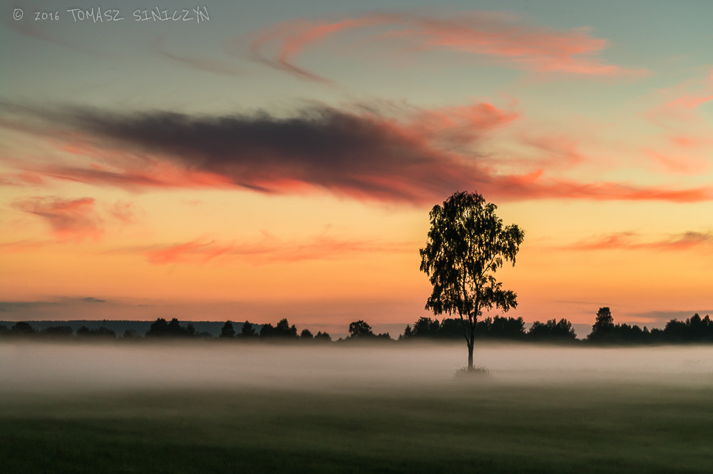 Samsung NX 50-200mm F4-5.6 ED OIS sample photo. Mist photography