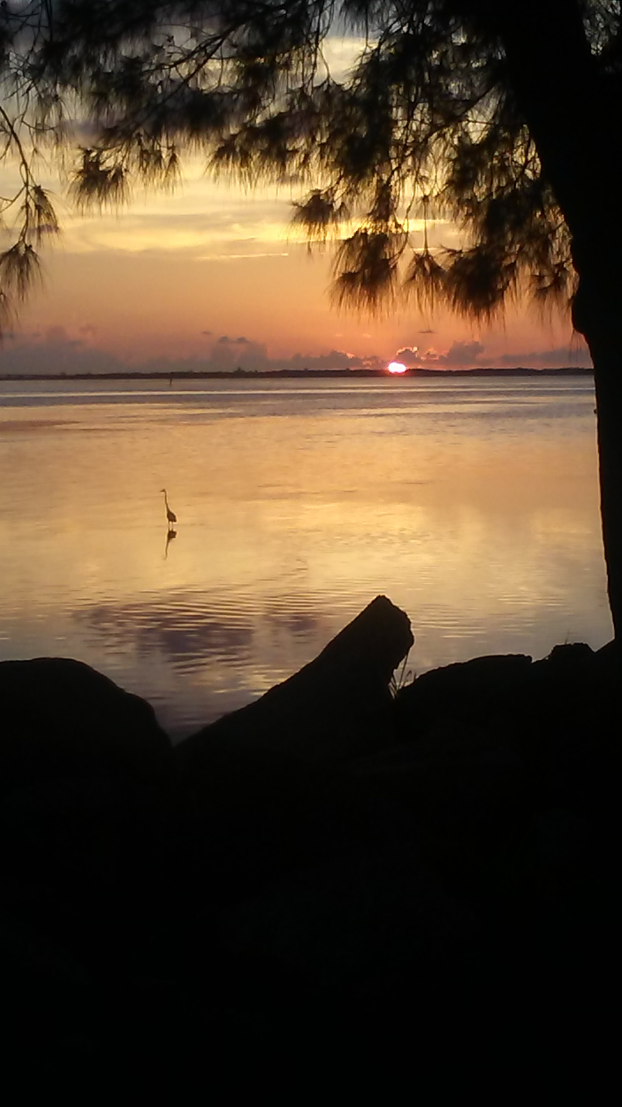 LG M1 sample photo. Sunsetbird photography
