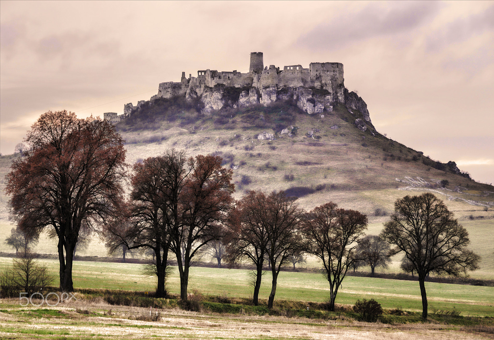 Nikon D800 + AF Zoom-Nikkor 80-200mm f/2.8 ED sample photo. Spiš castle in late autumn photography