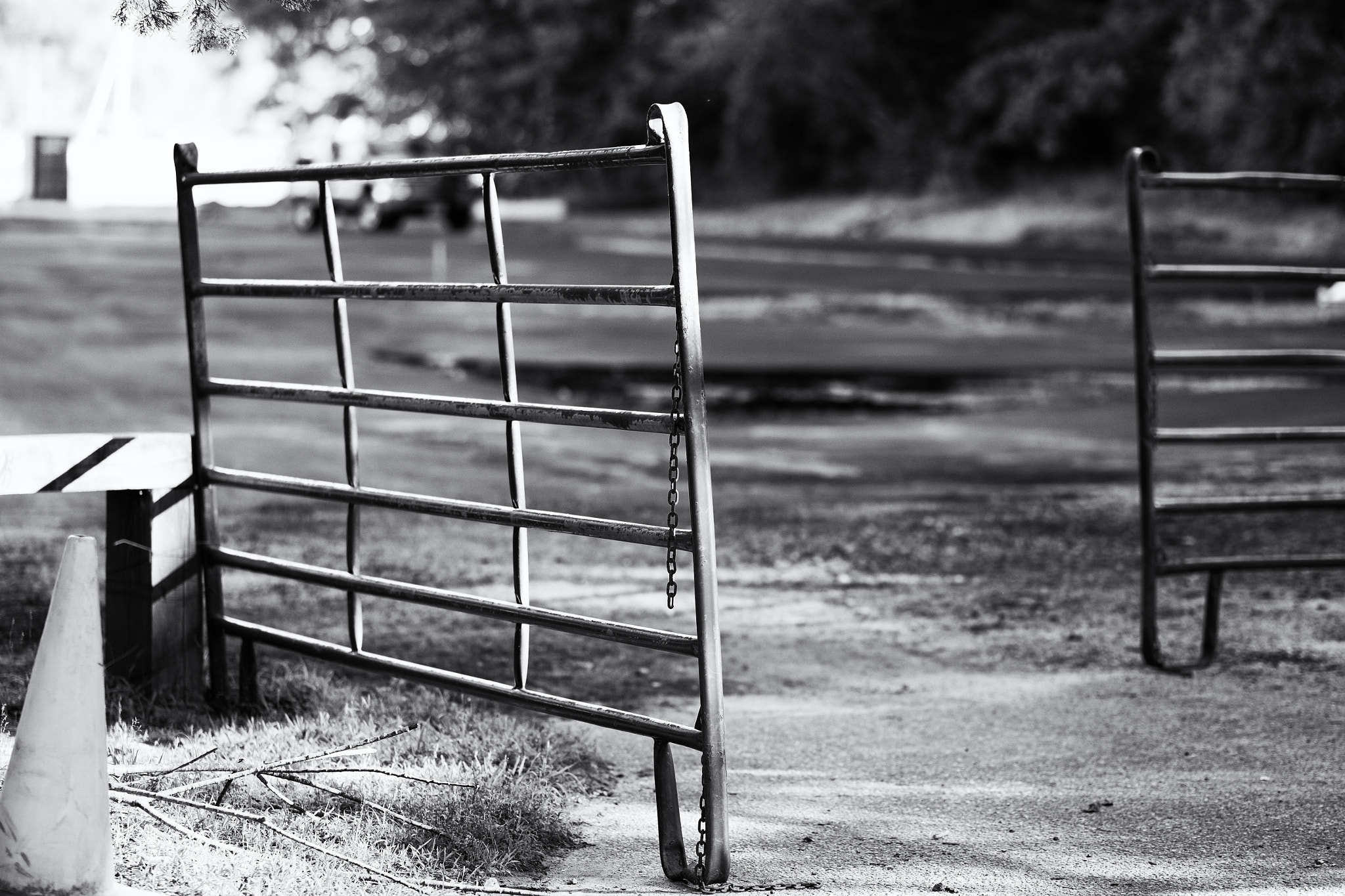 Fujifilm X-E2S + Fujifilm XF 90mm F2 R LM WR sample photo. The horse is gone photography