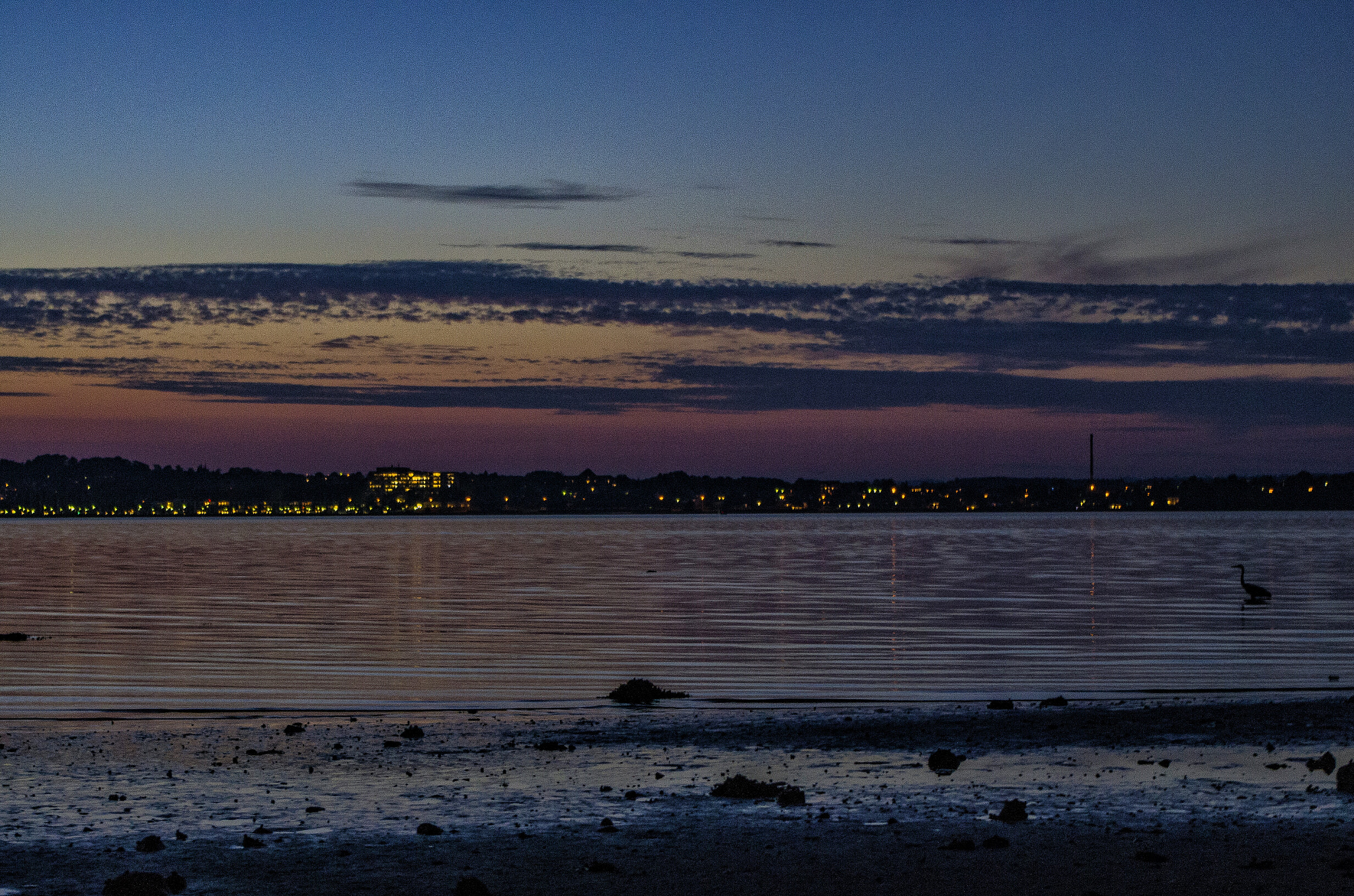 Pentax K-5 sample photo. The bird  photography