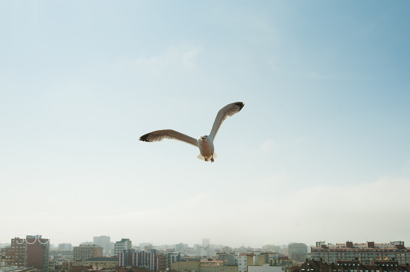 Nikon D300S sample photo. Sobrevolando la ciudad photography