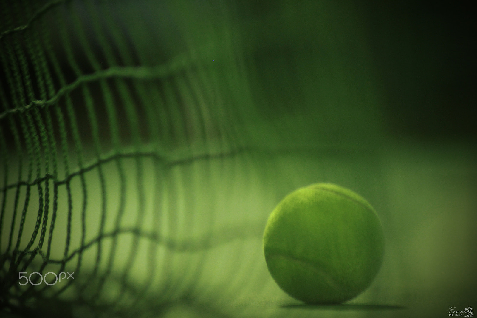 Canon EOS 600D (Rebel EOS T3i / EOS Kiss X5) + Canon EF 70-210mm f/4 sample photo. Tenis photography