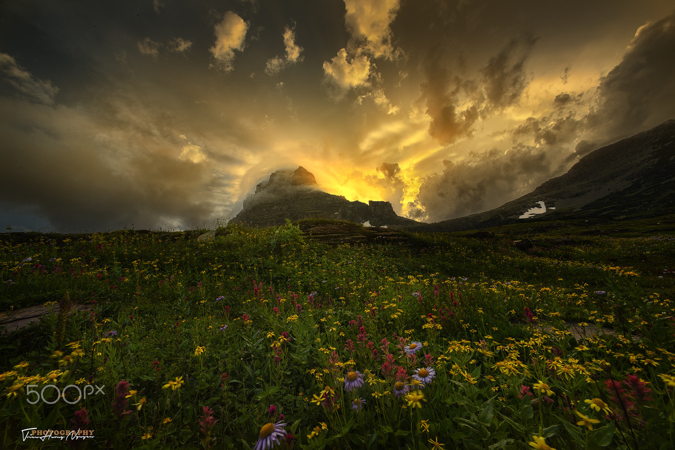 Nikon D810 + Nikon AF Nikkor 14mm F2.8D ED sample photo. Logan pass, glacier national park, montana photography