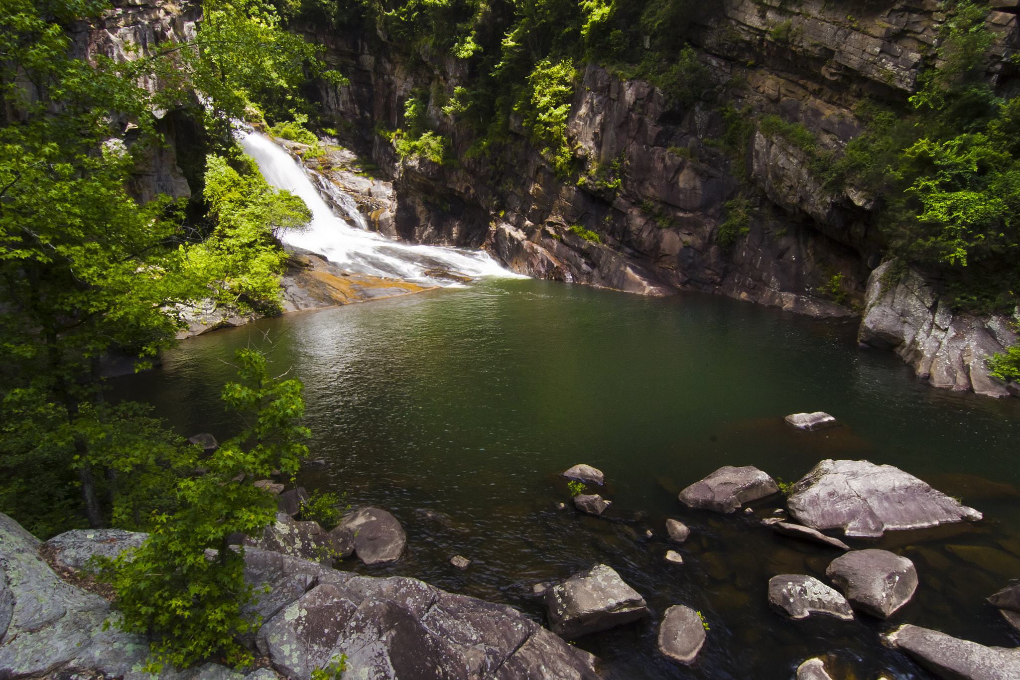 Canon EOS 550D (EOS Rebel T2i / EOS Kiss X4) sample photo. Tallulah gorge photography