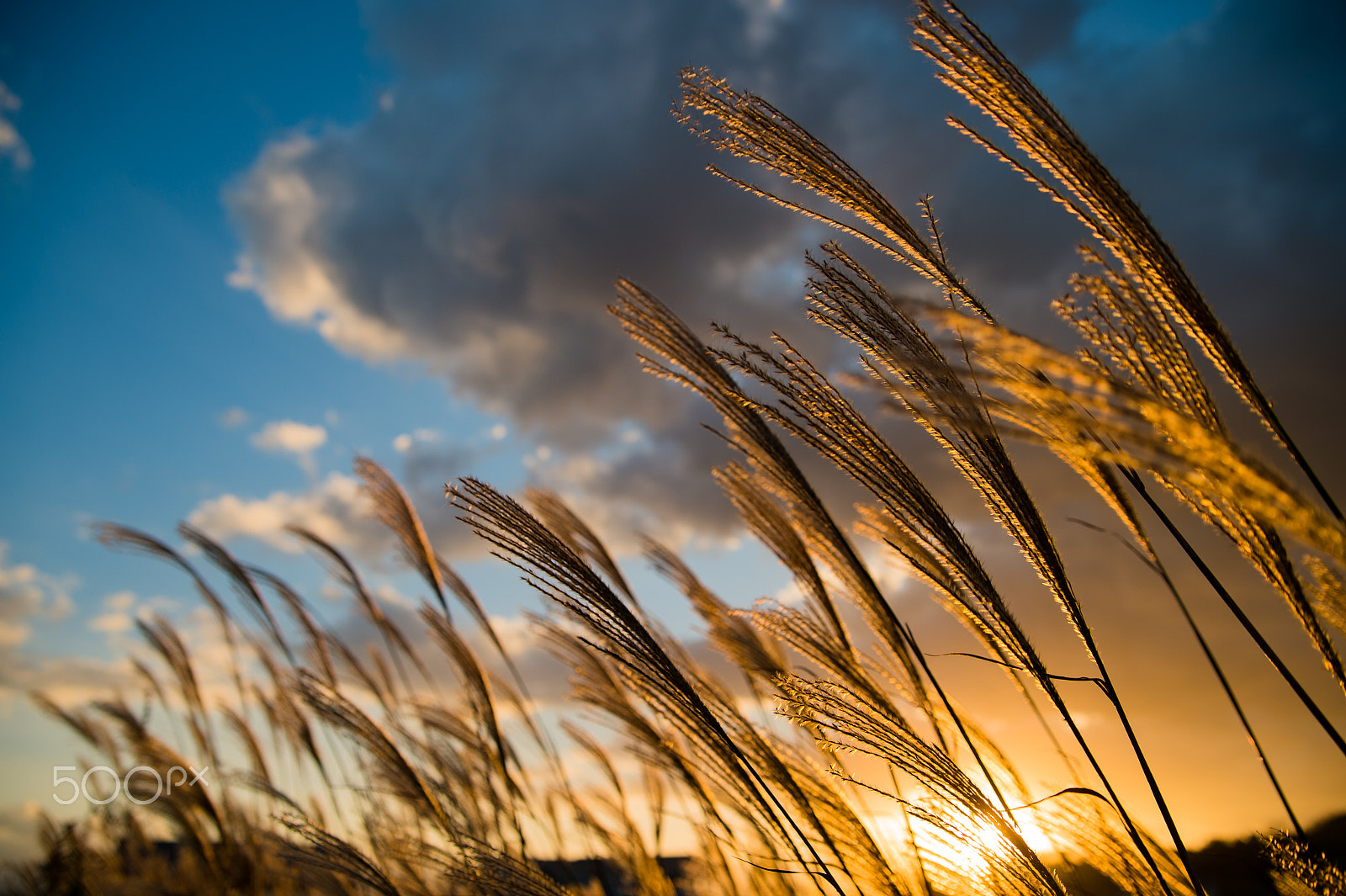 Nikon Df sample photo. Once you have me stay here photography