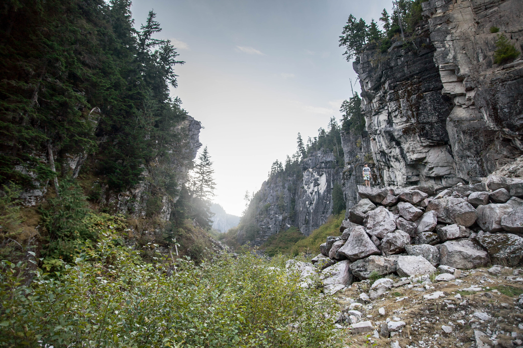 Sigma 20mm EX f/1.8 sample photo. Bshep photography