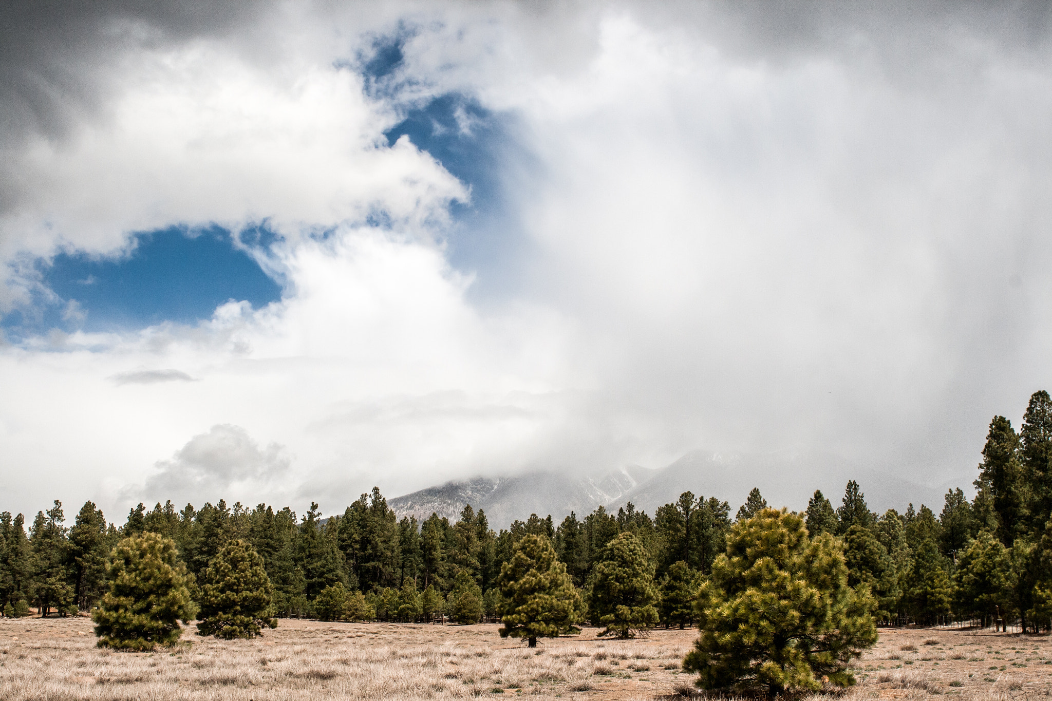 Canon EF 28-80mm f/2.8-4L sample photo. Flagstaff mountain, hiding photography
