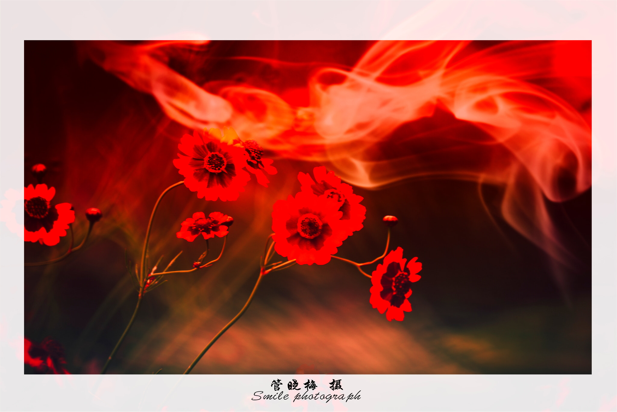 Sony 500mm F8 Reflex sample photo. Fire photography